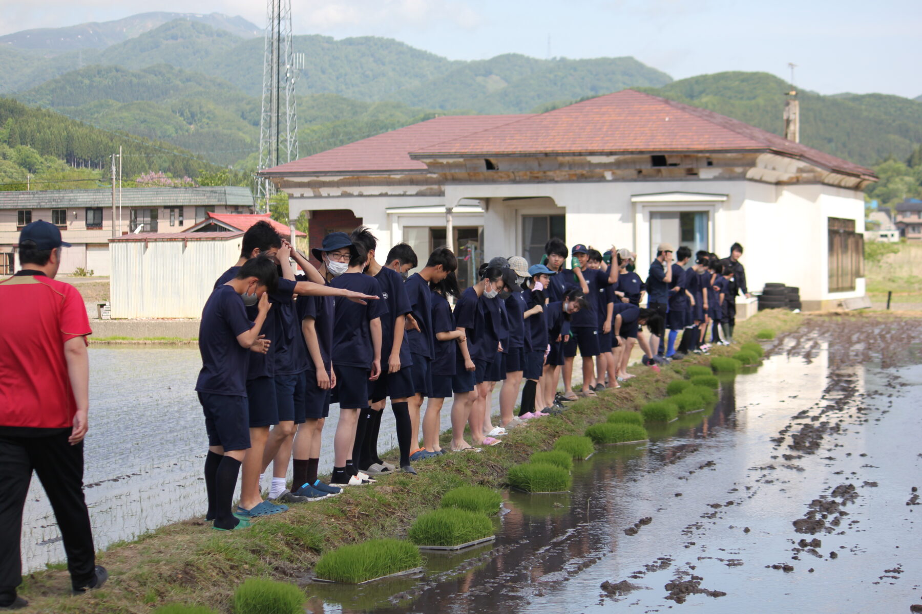 田植え体験　その１ 1枚目写真