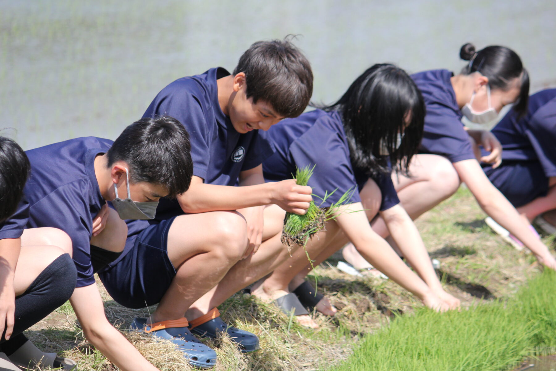 田植え体験　その１ 3枚目写真