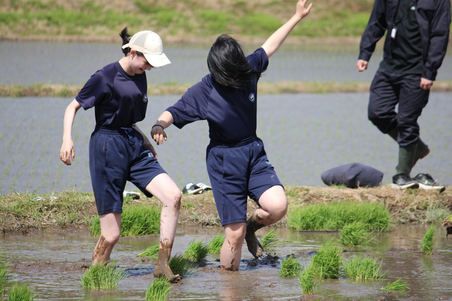 田植え体験　その１ 5枚目写真