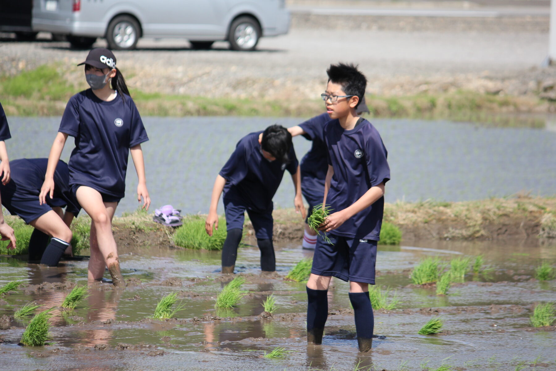 田植え体験　その１ 6枚目写真