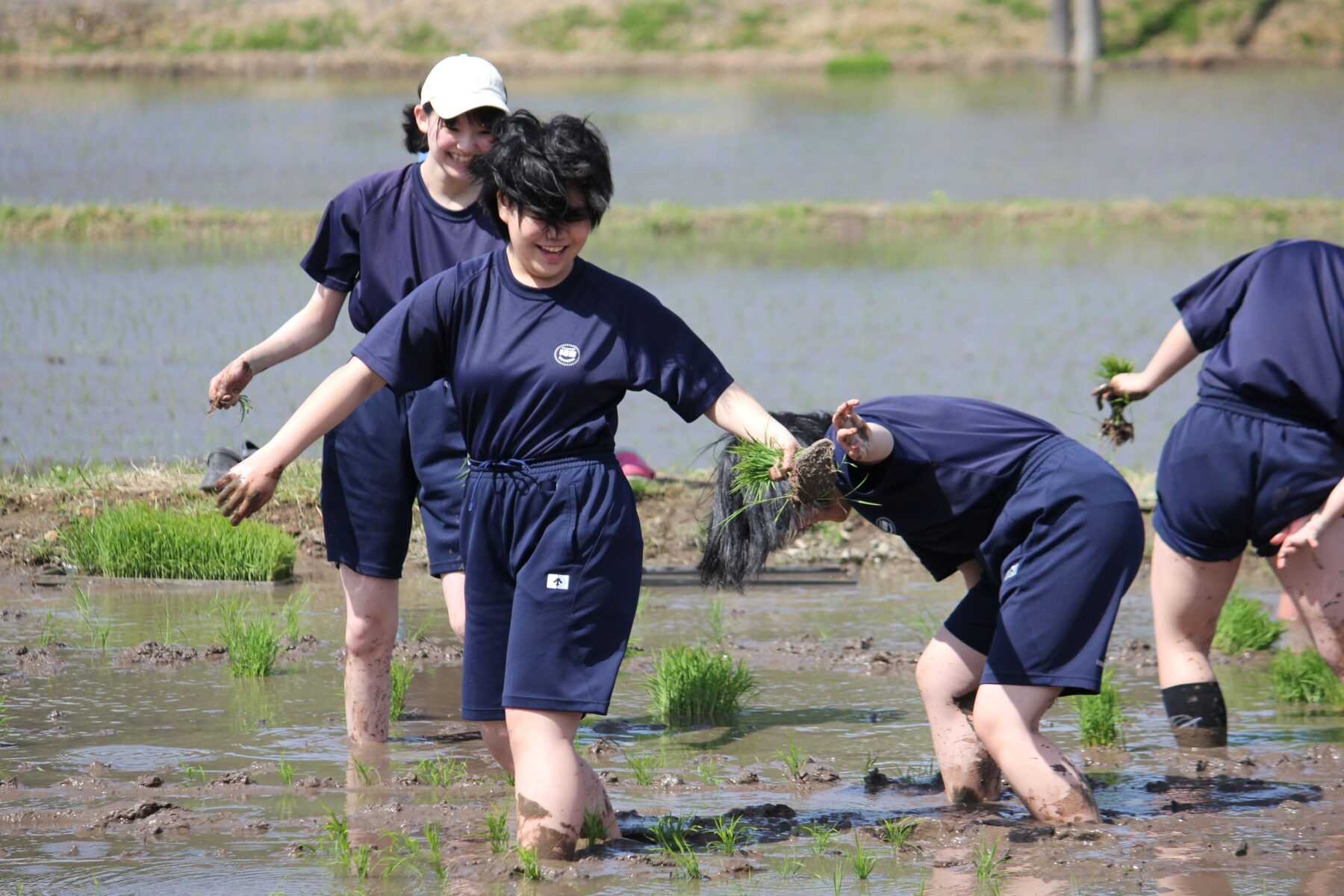 田植え体験　その２ 3枚目写真