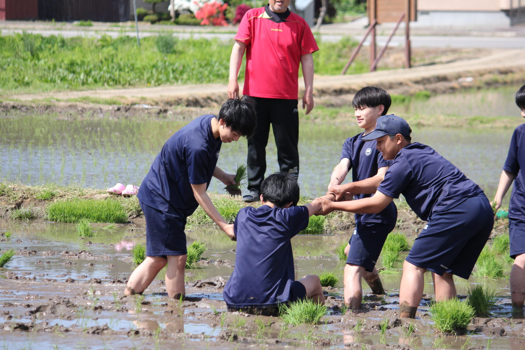 田植え体験　その２ 6枚目写真