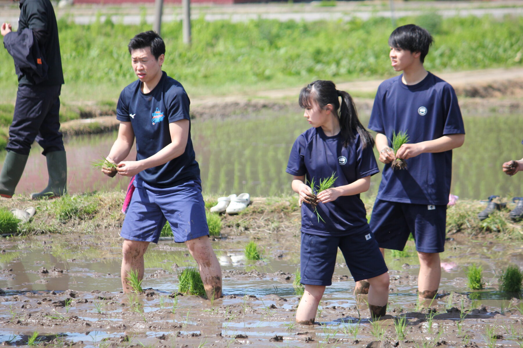 田植え体験　その３ 1枚目写真