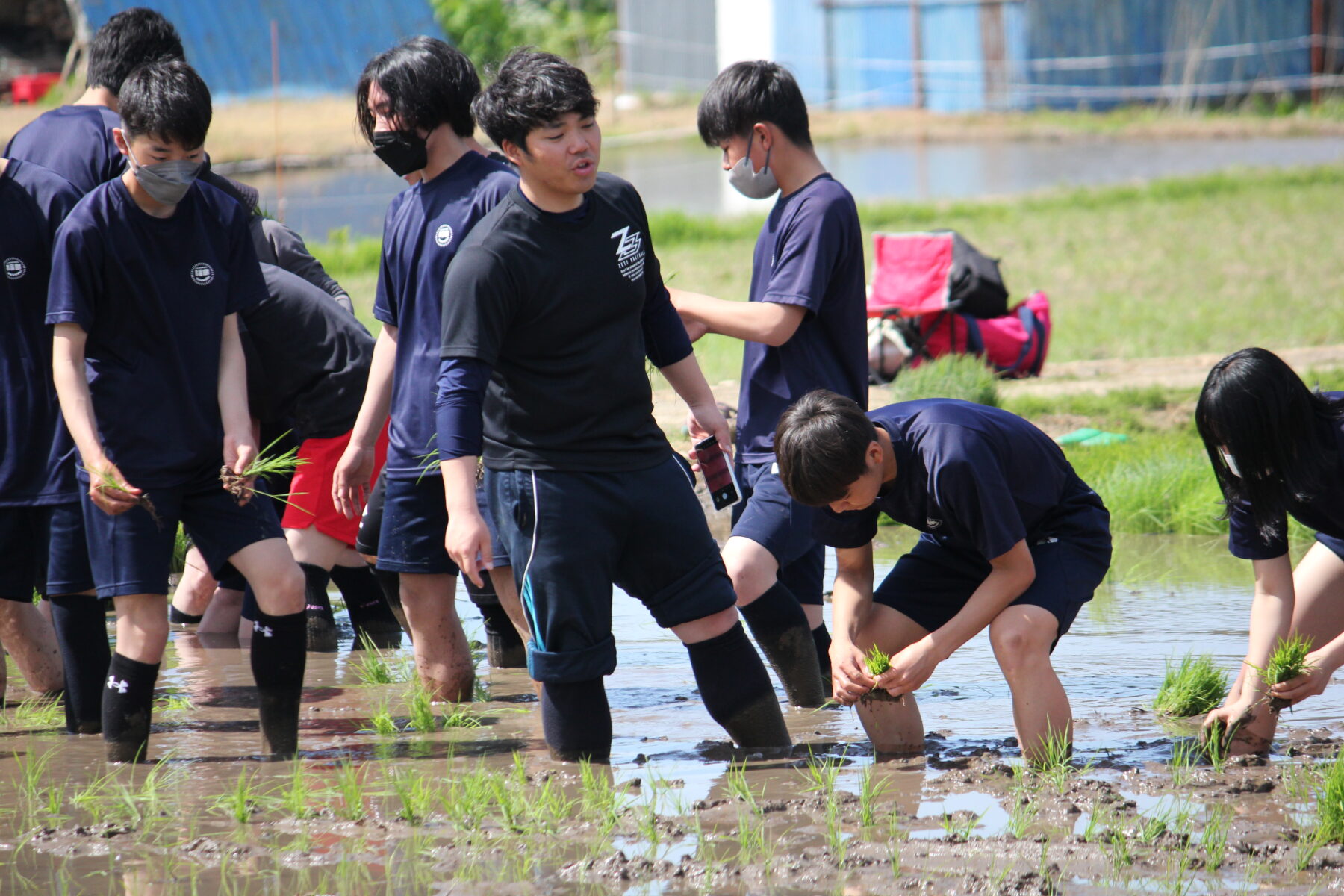 田植え体験　その３ 2枚目写真