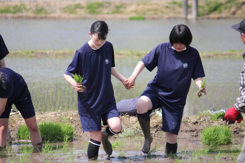 田植え体験　その４