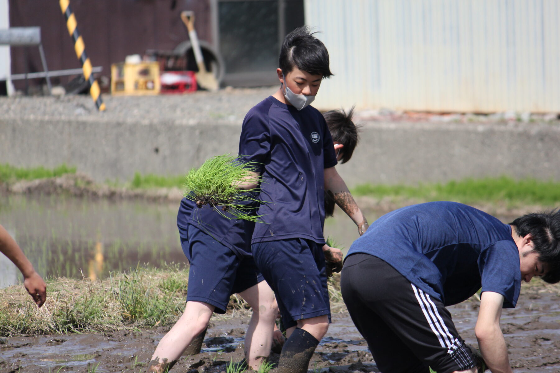 田植え体験　その４ 2枚目写真