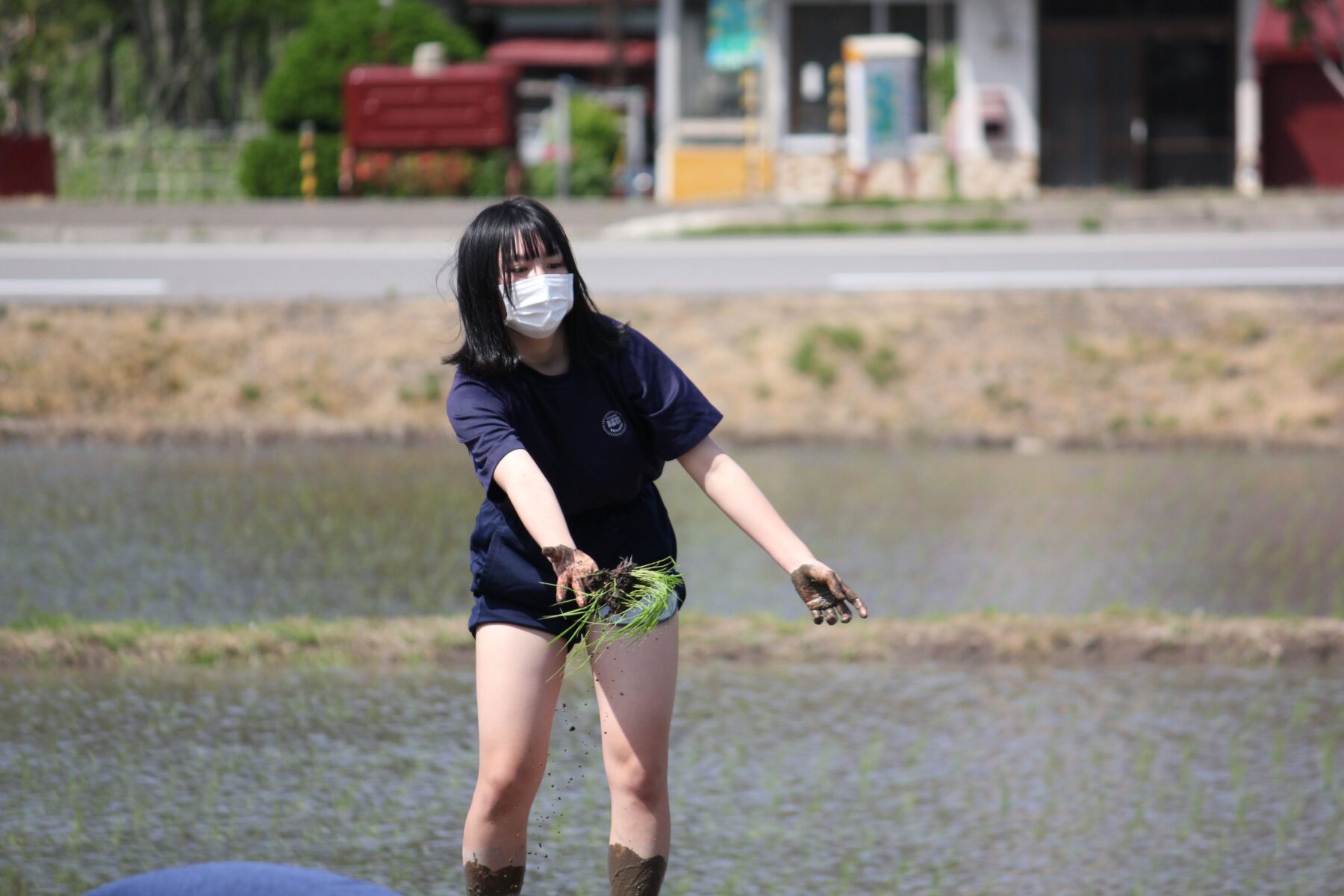 田植え体験　その４ 3枚目写真