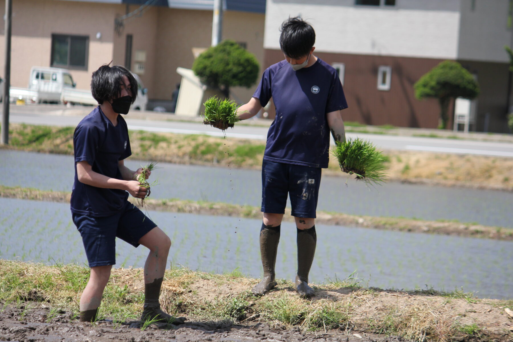 田植え体験　その４ 4枚目写真