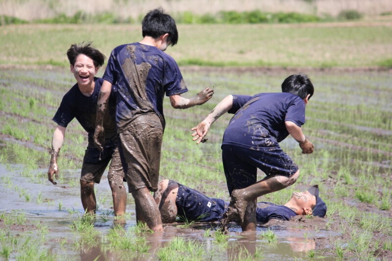 田植え体験　その５