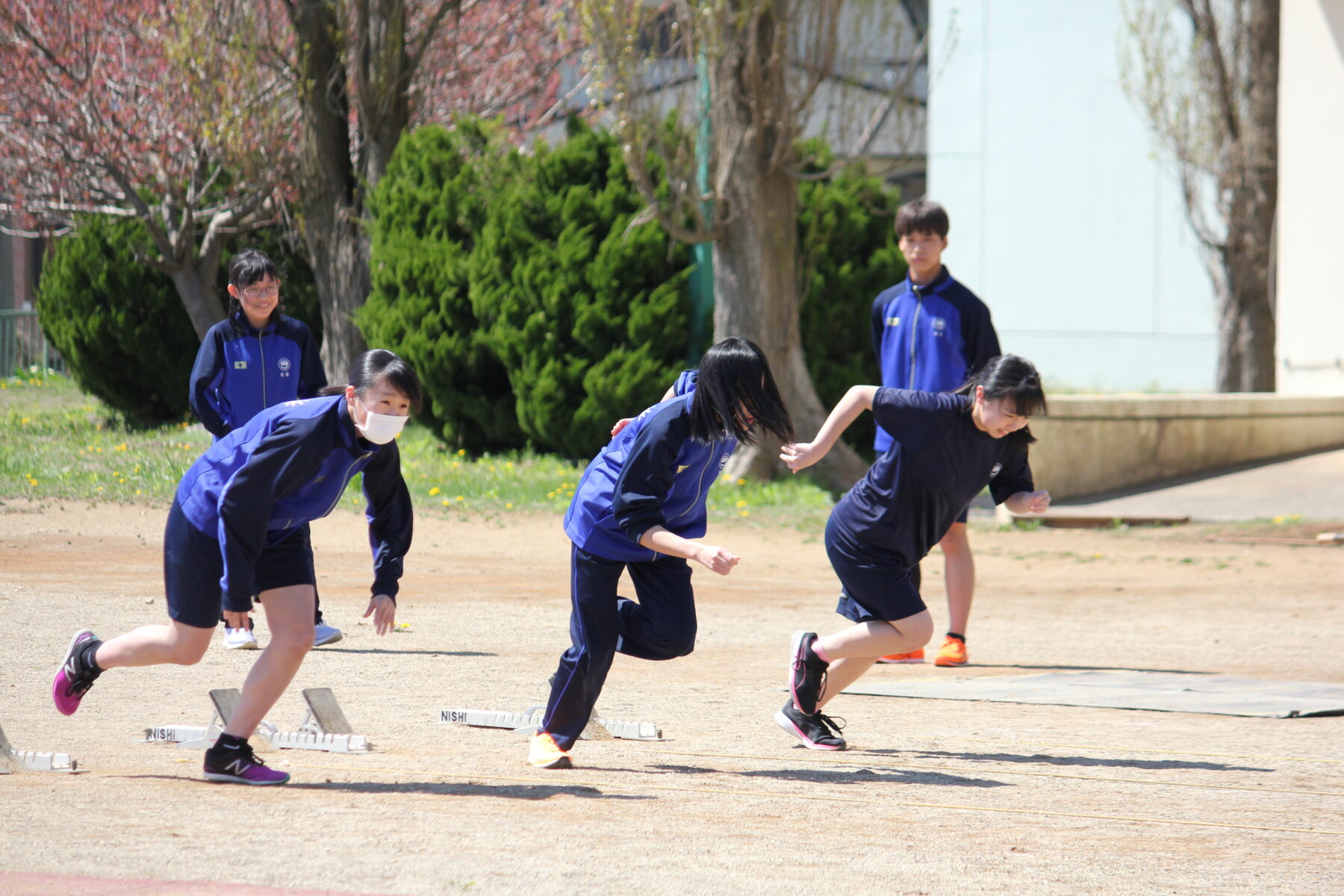 １００ｍ、全力で　３年生編 3枚目写真