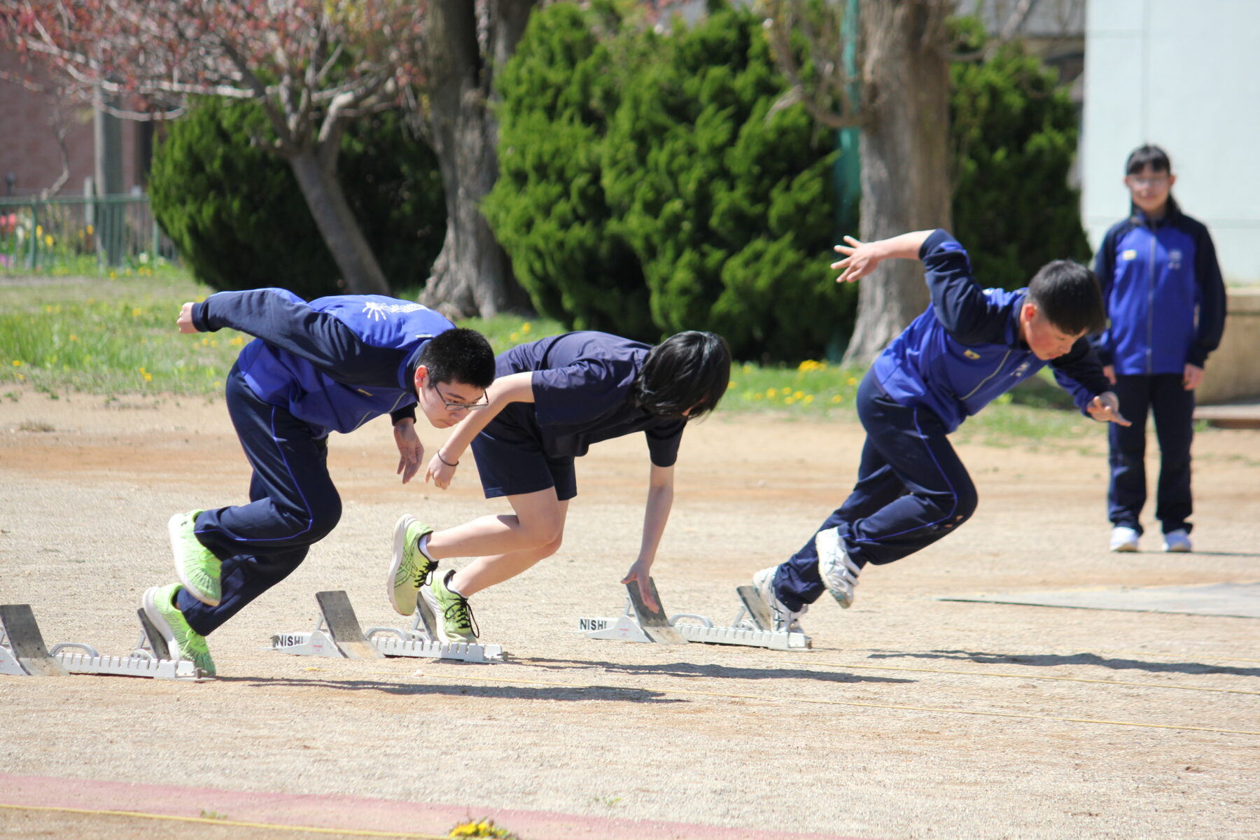 １００ｍ、全力で　３年生編 4枚目写真