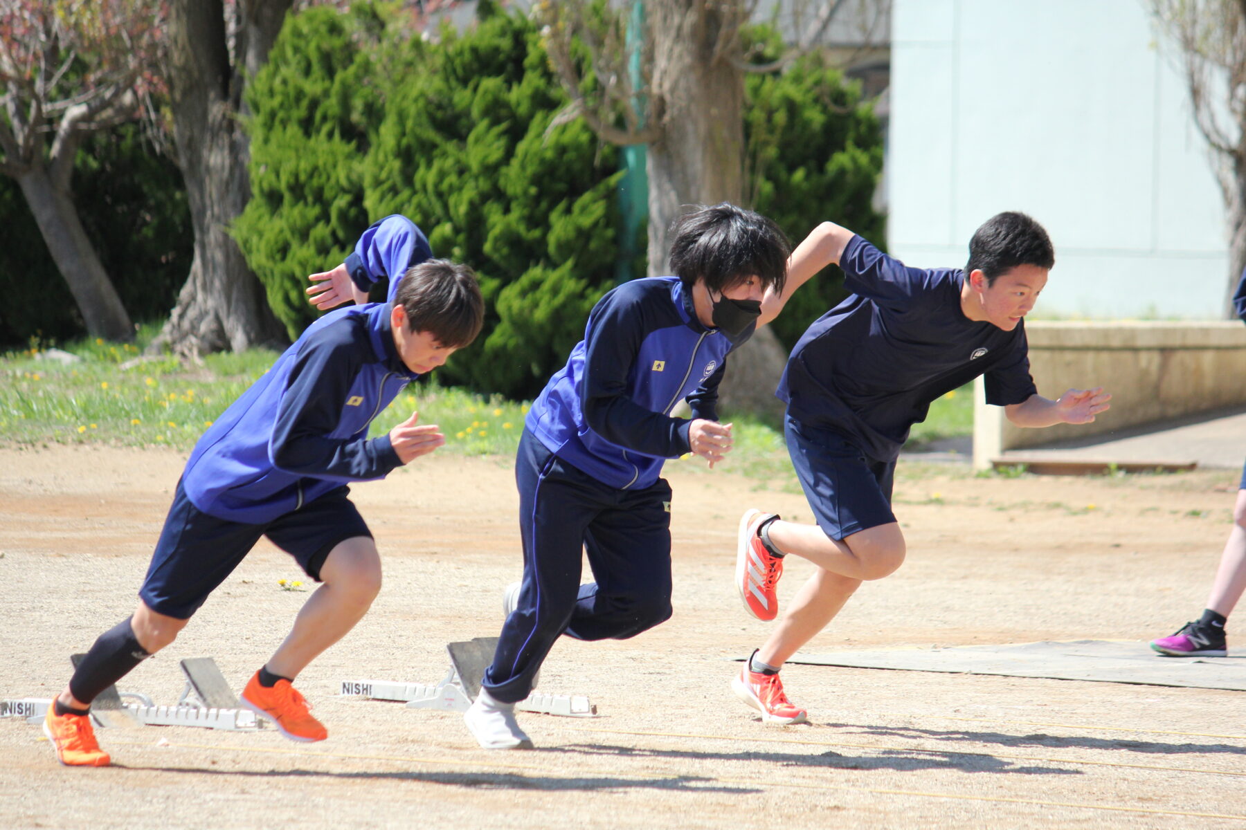 １００ｍ、全力で　３年生編 6枚目写真