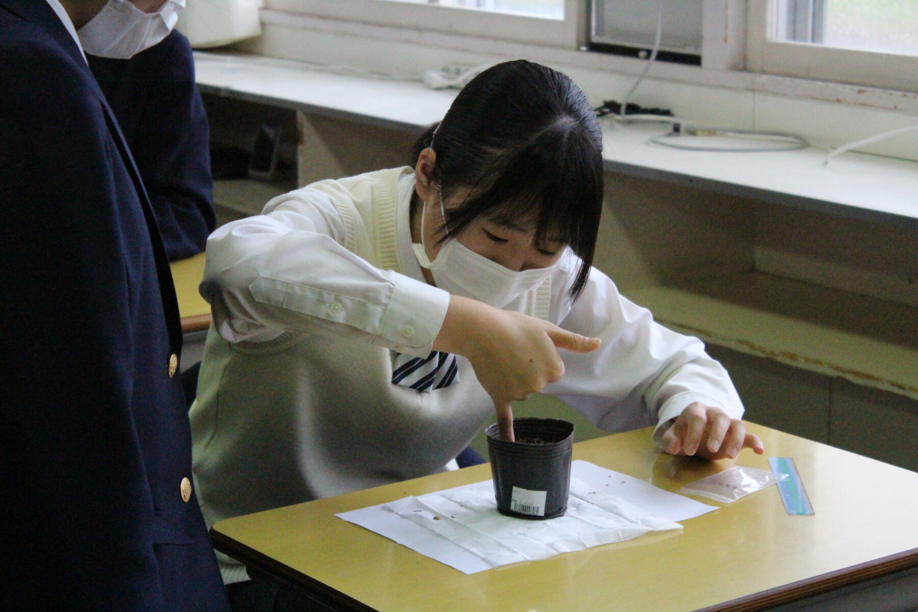 技術科　生物育成 1枚目写真