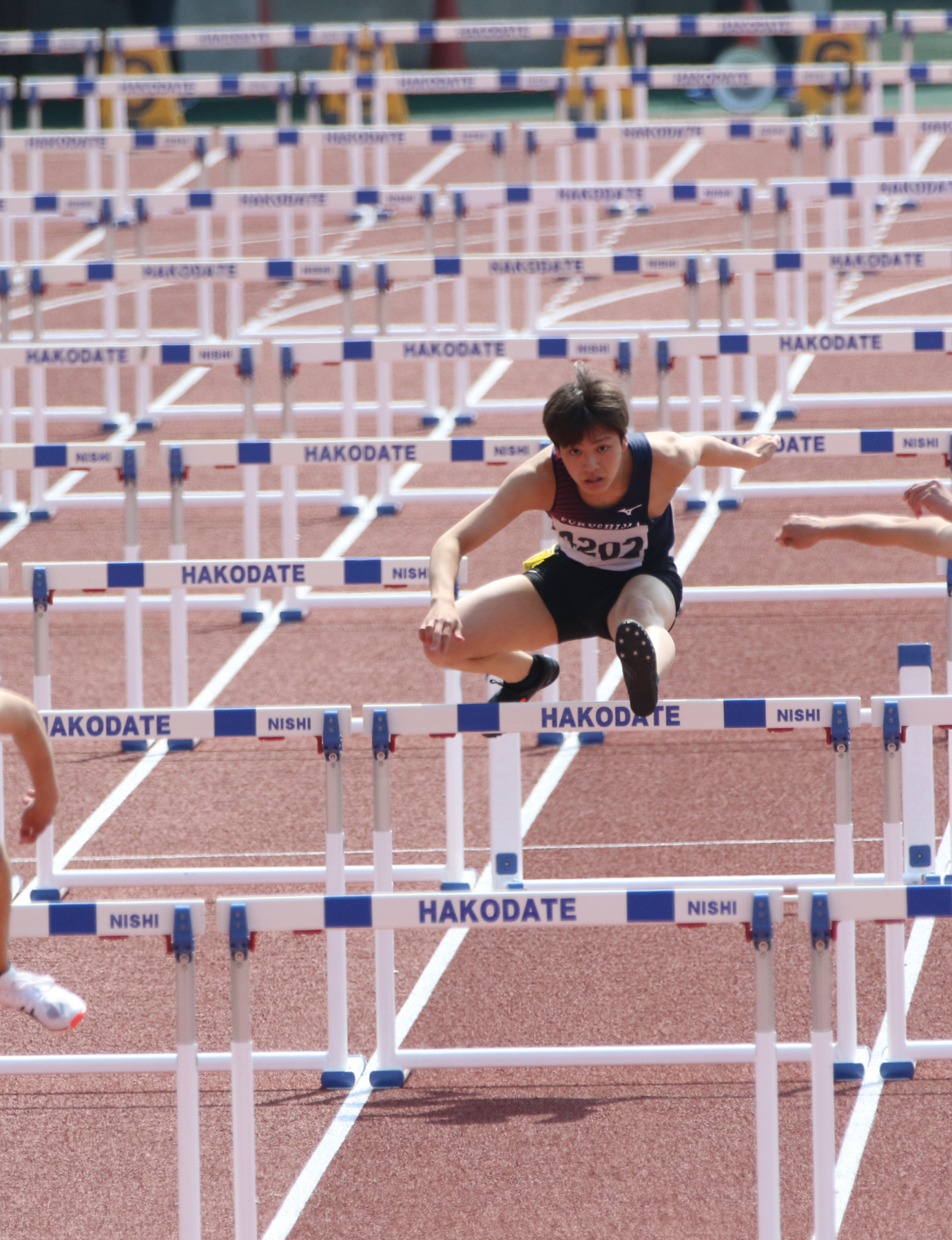 道南春季陸上競技大会 5枚目写真