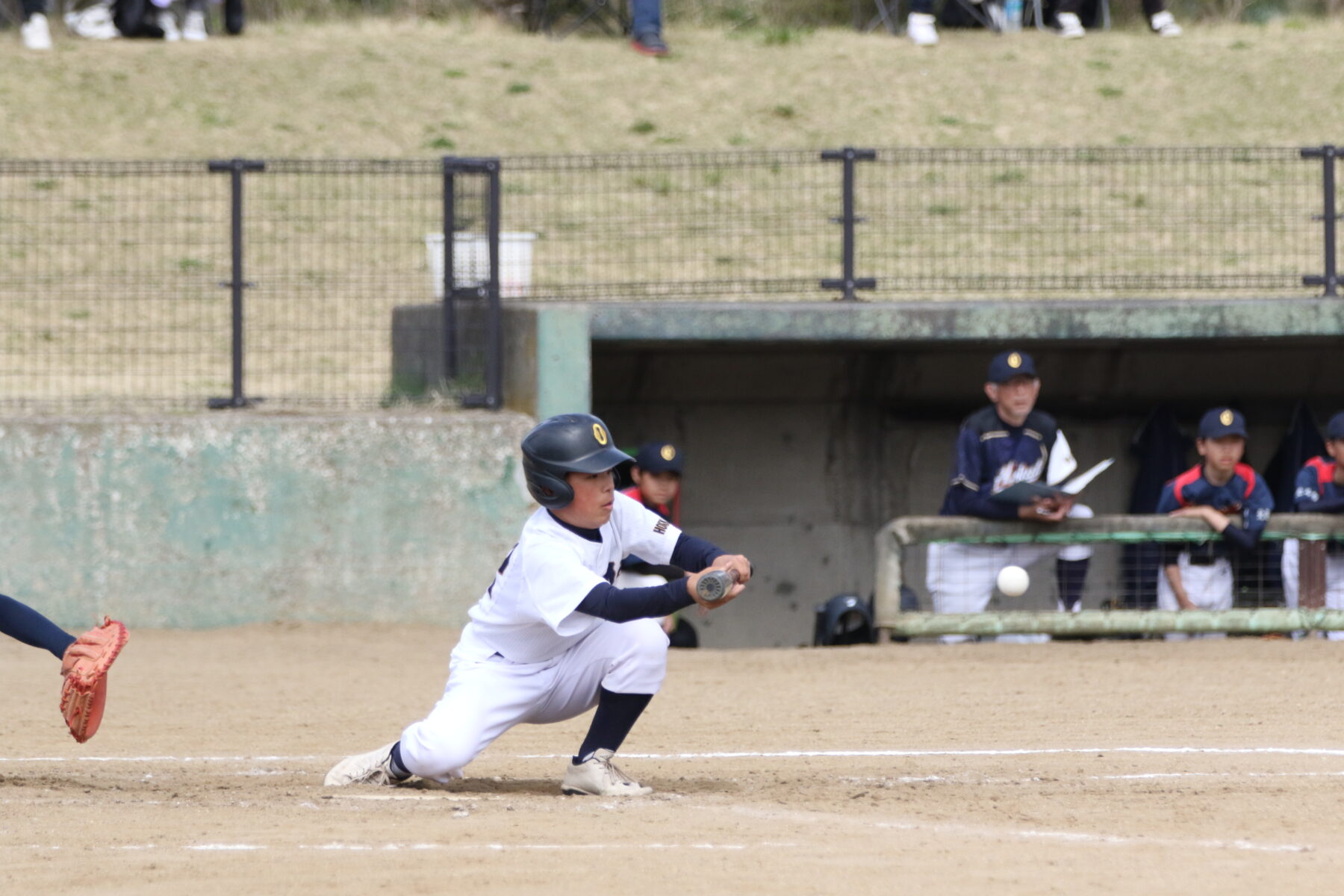 渡島中学校春季軟式野球交流大会２ 1枚目写真