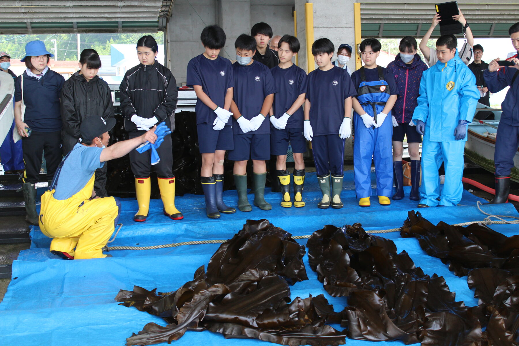 ２年総合的な学習の時間　コンブ漁体験　その１ 4枚目写真