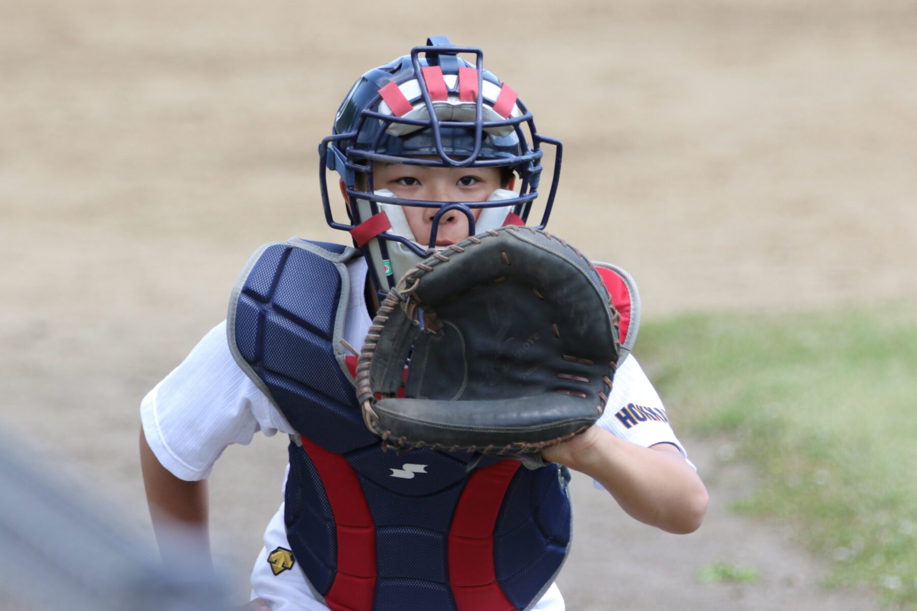 令和6年度　渡島中学校各種競技大会3日目（6月27日）結果　野球 1枚目写真