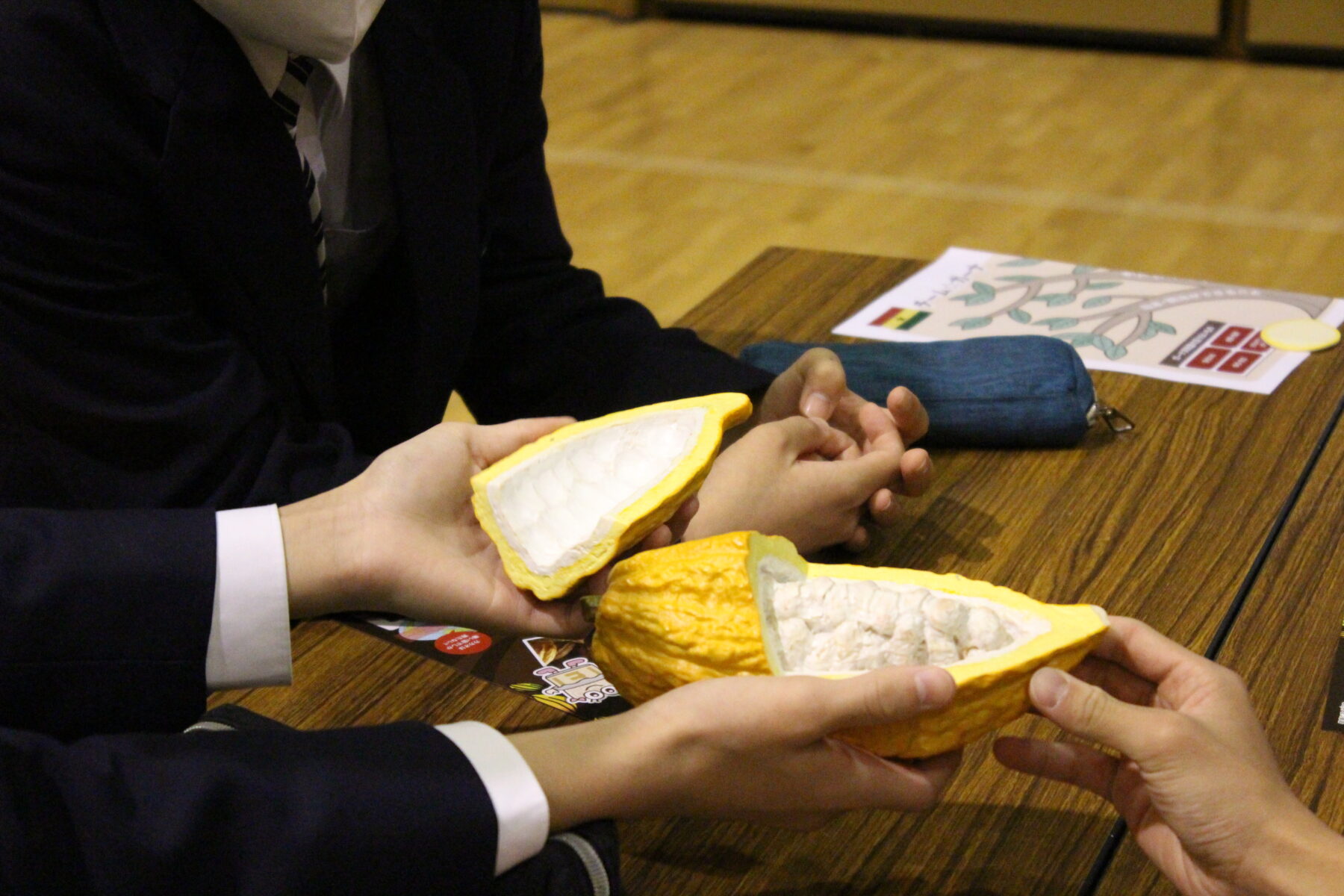 チョコレート食育の授業 8枚目写真