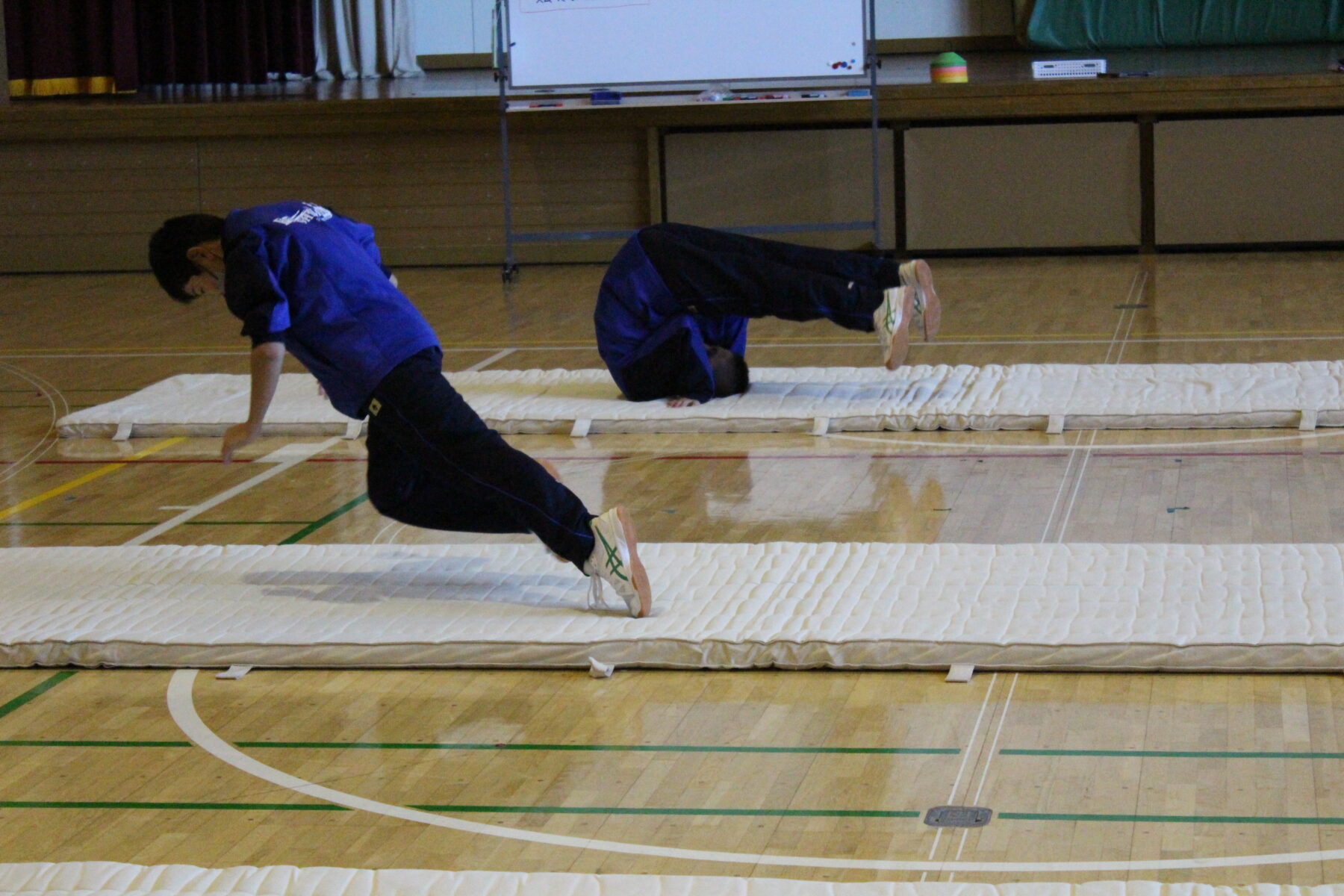 器械運動　１年生 10枚目写真