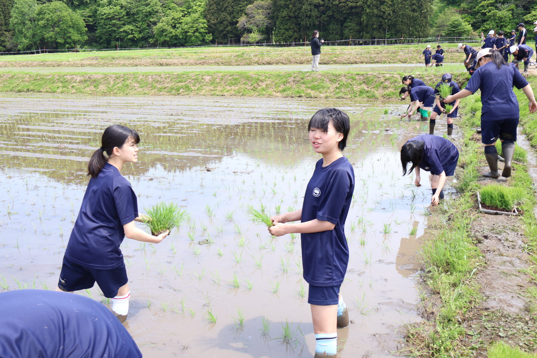 １、２年生黒米田植え体験学習 3枚目写真