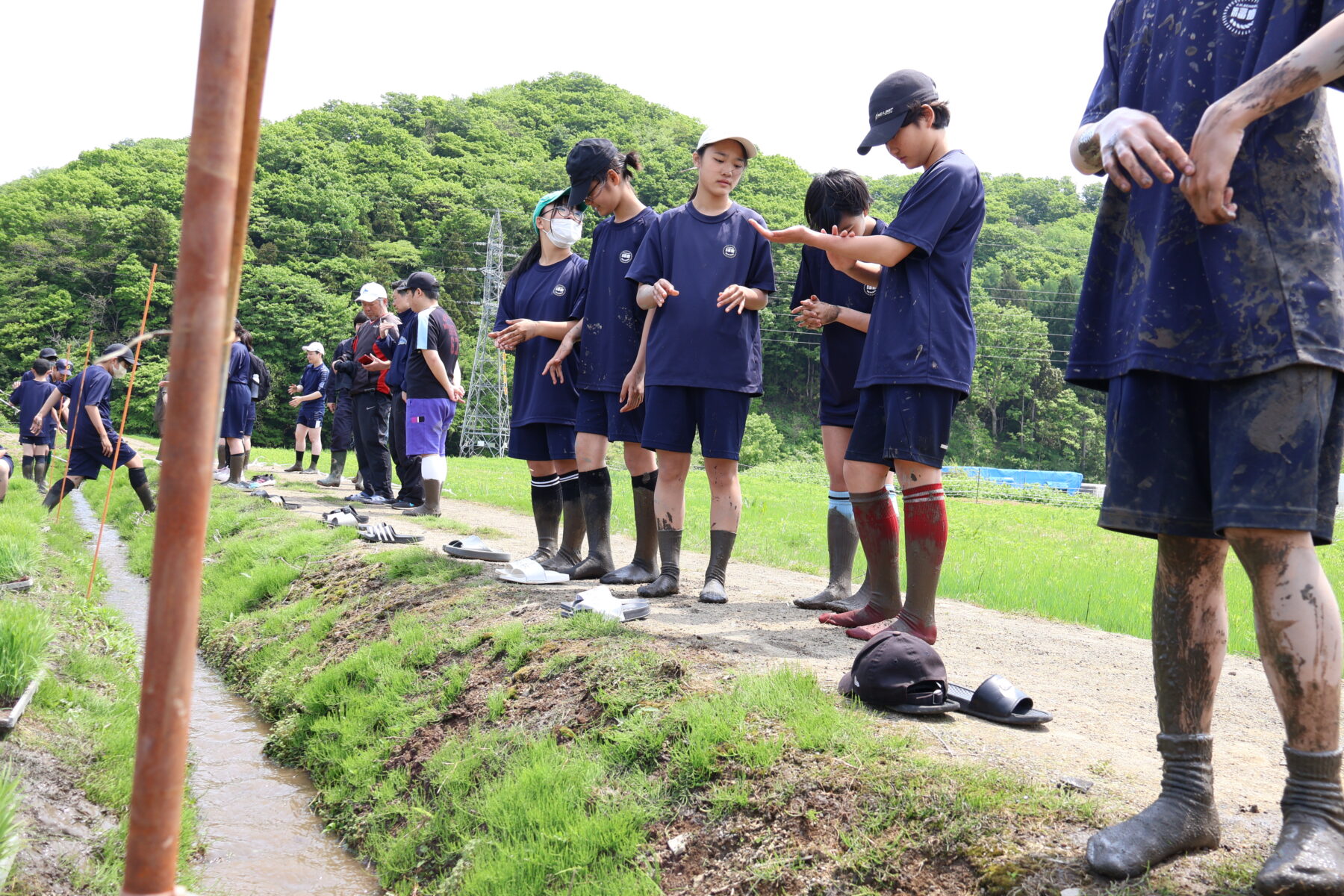１、２年生黒米田植え体験学習 5枚目写真