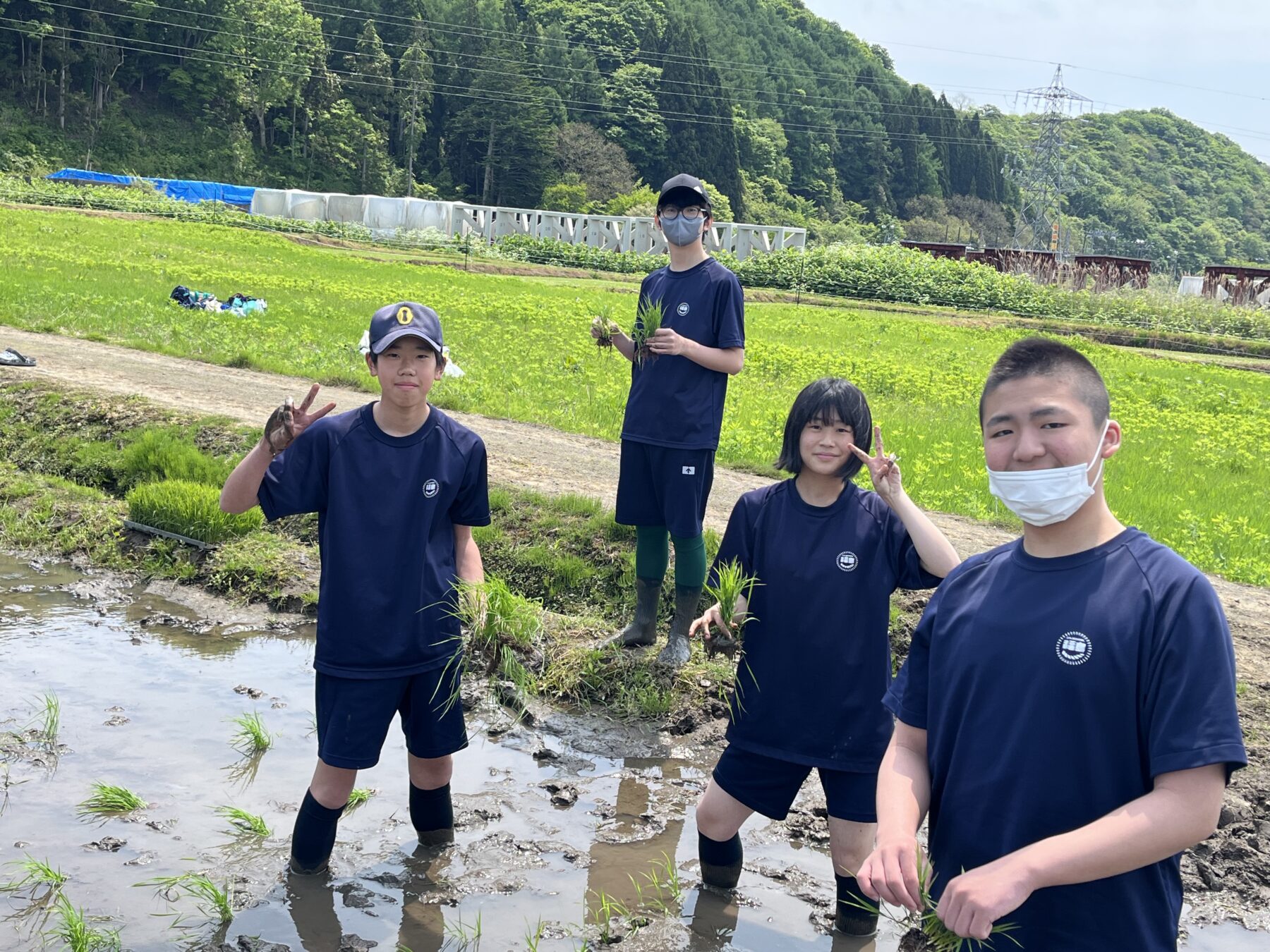 １、２年生黒米田植え体験学習 6枚目写真