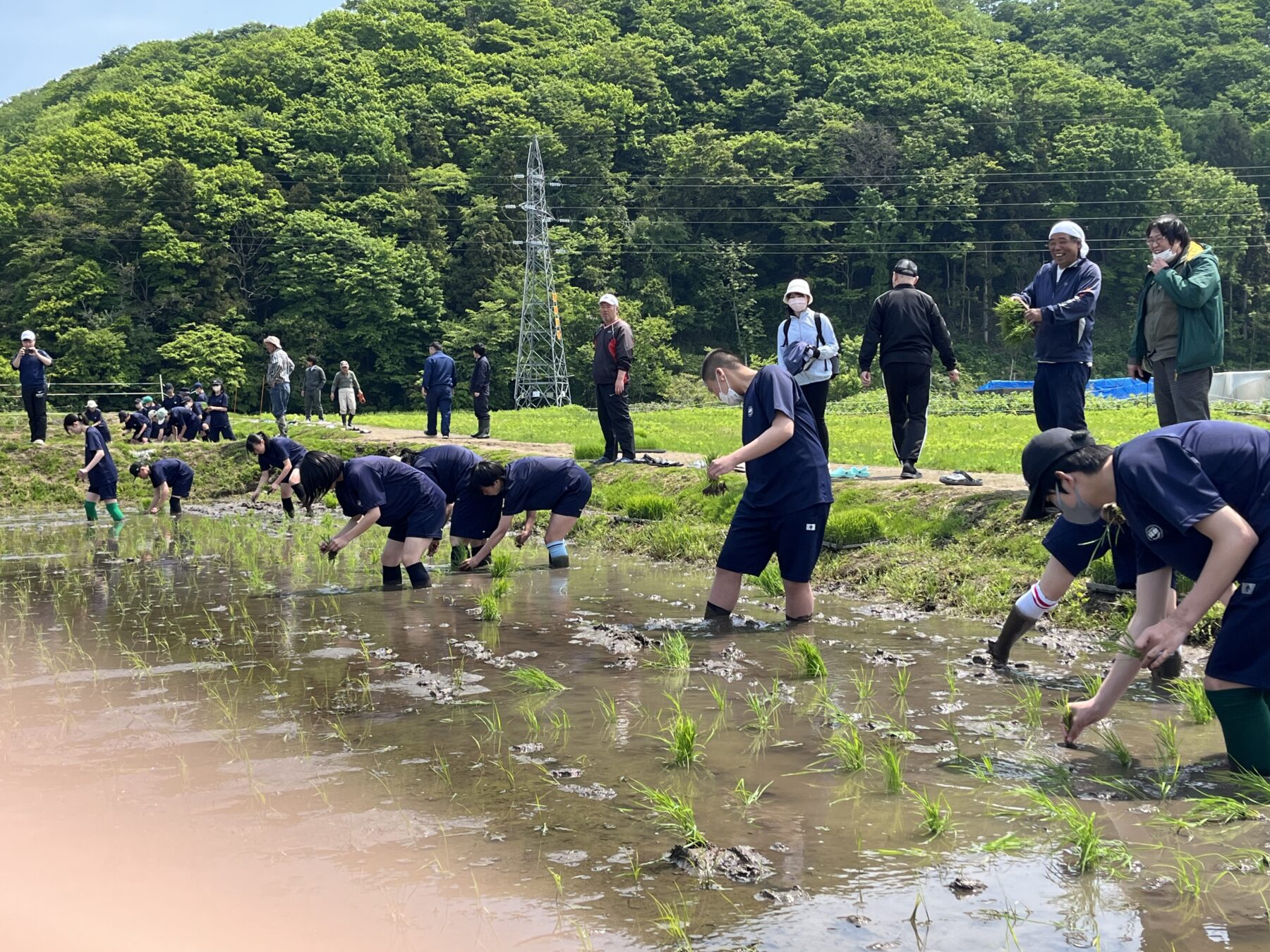 １、２年生黒米田植え体験学習 7枚目写真