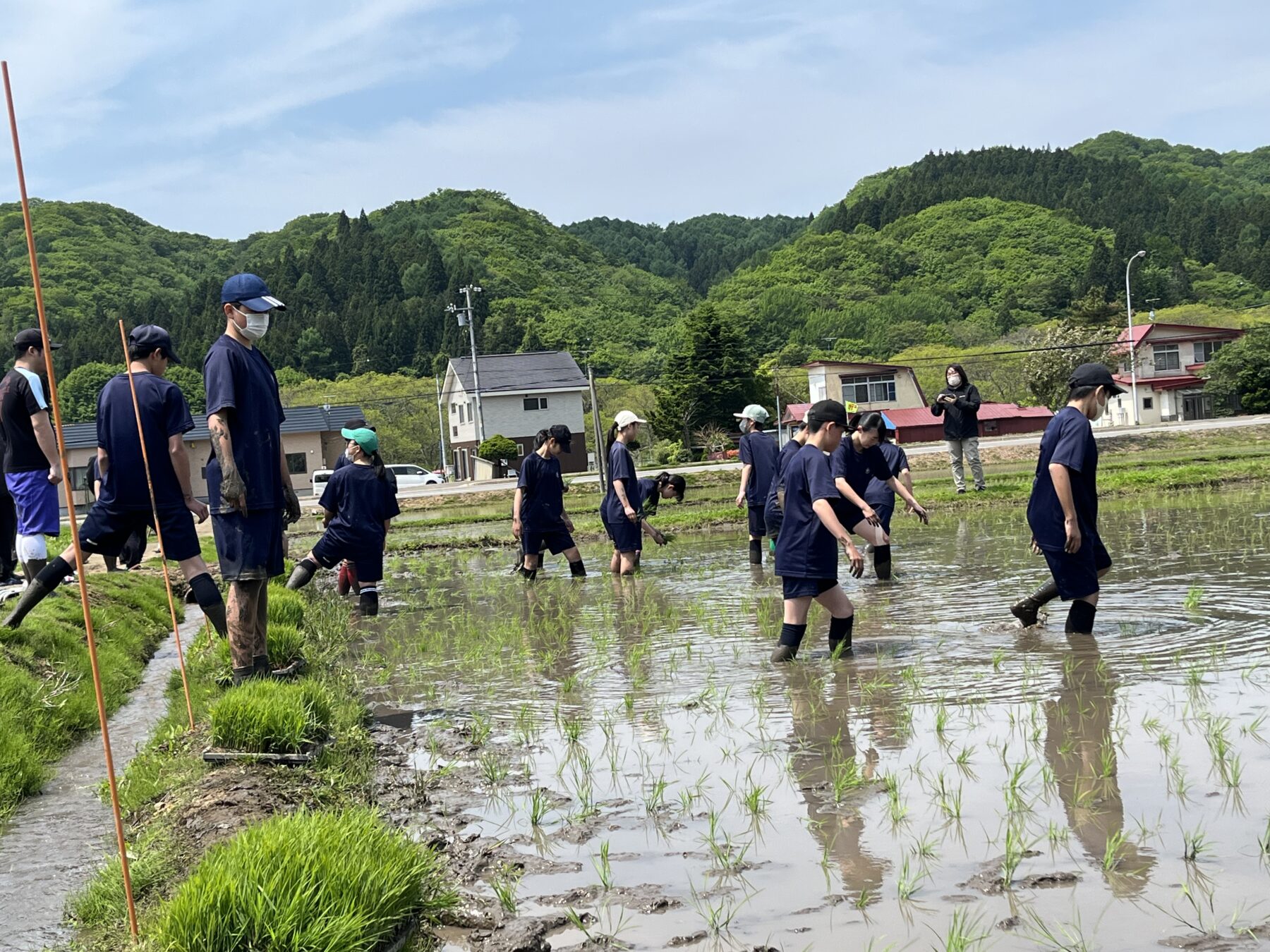 １、２年生黒米田植え体験学習 9枚目写真