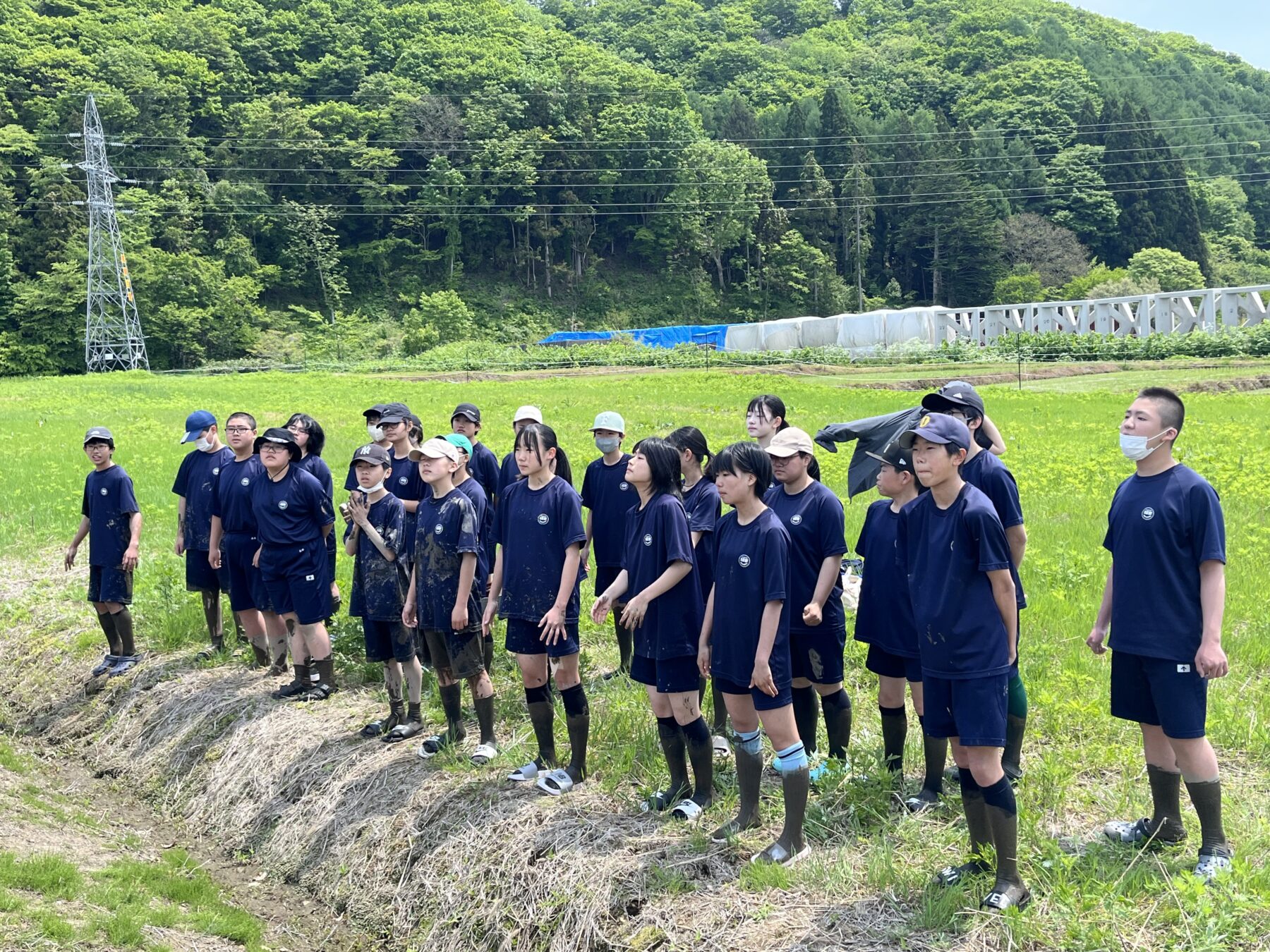 １、２年生黒米田植え体験学習 8枚目写真