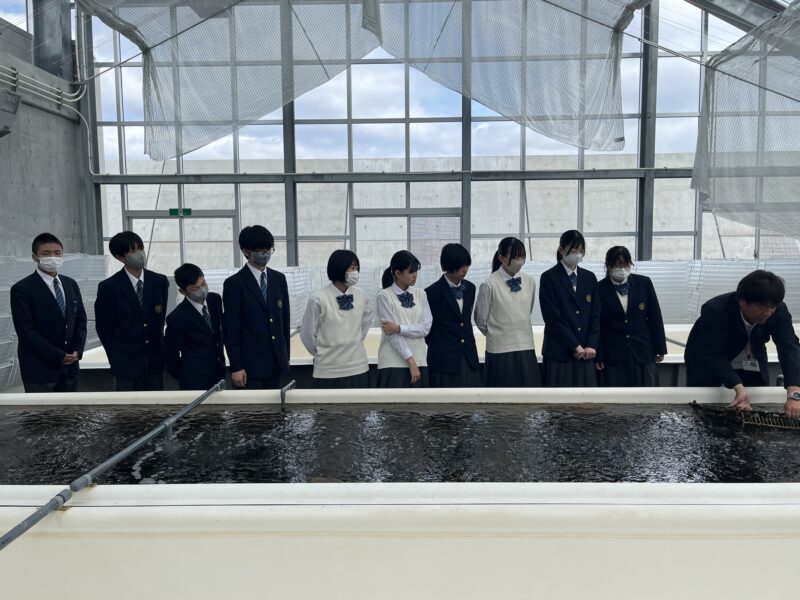 ２年生総合　福島町水産種苗生産センター見学