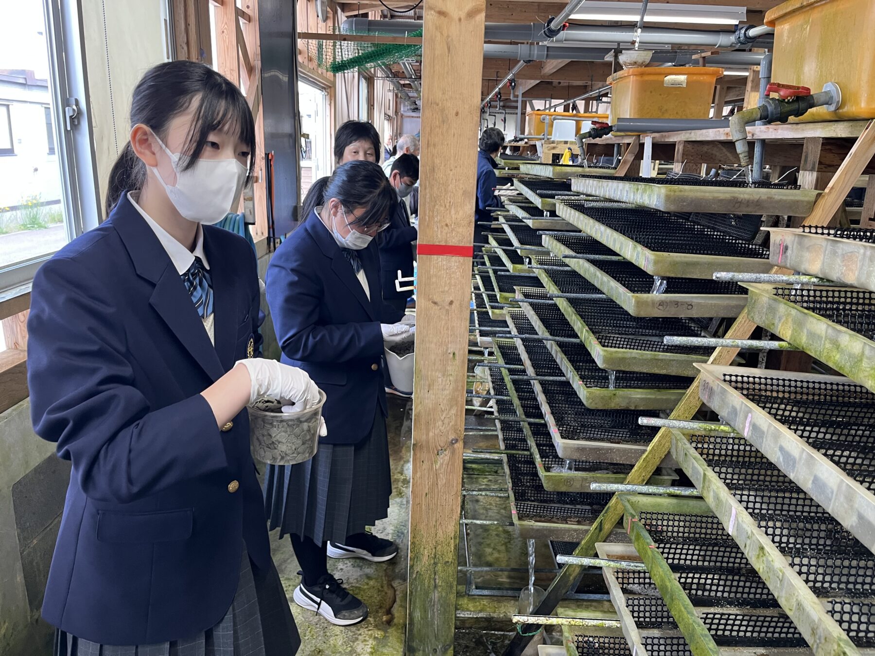 ２年生総合　福島町水産種苗生産センター見学 9枚目写真