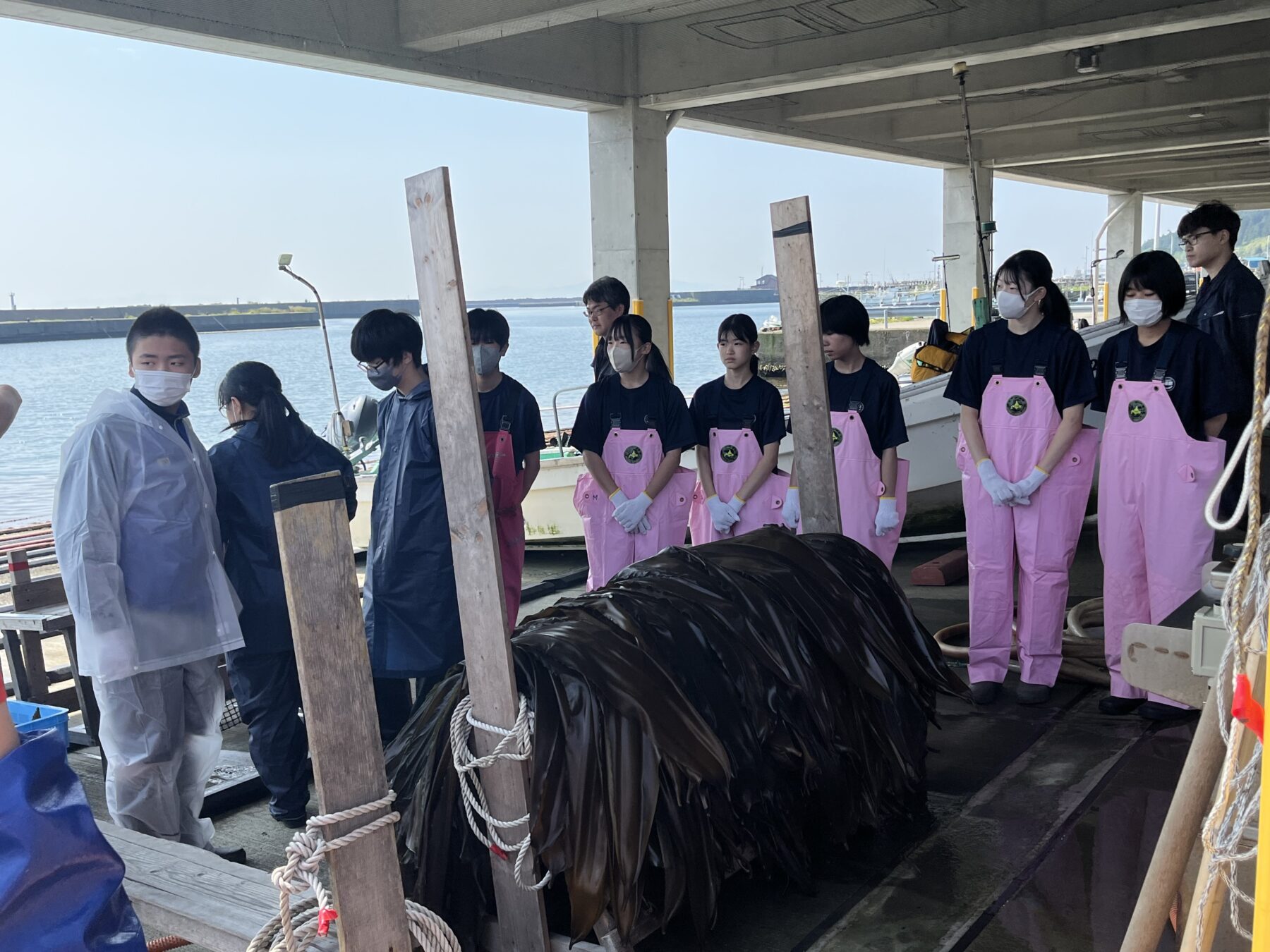 2年生総合　コンブ漁体験 4枚目写真