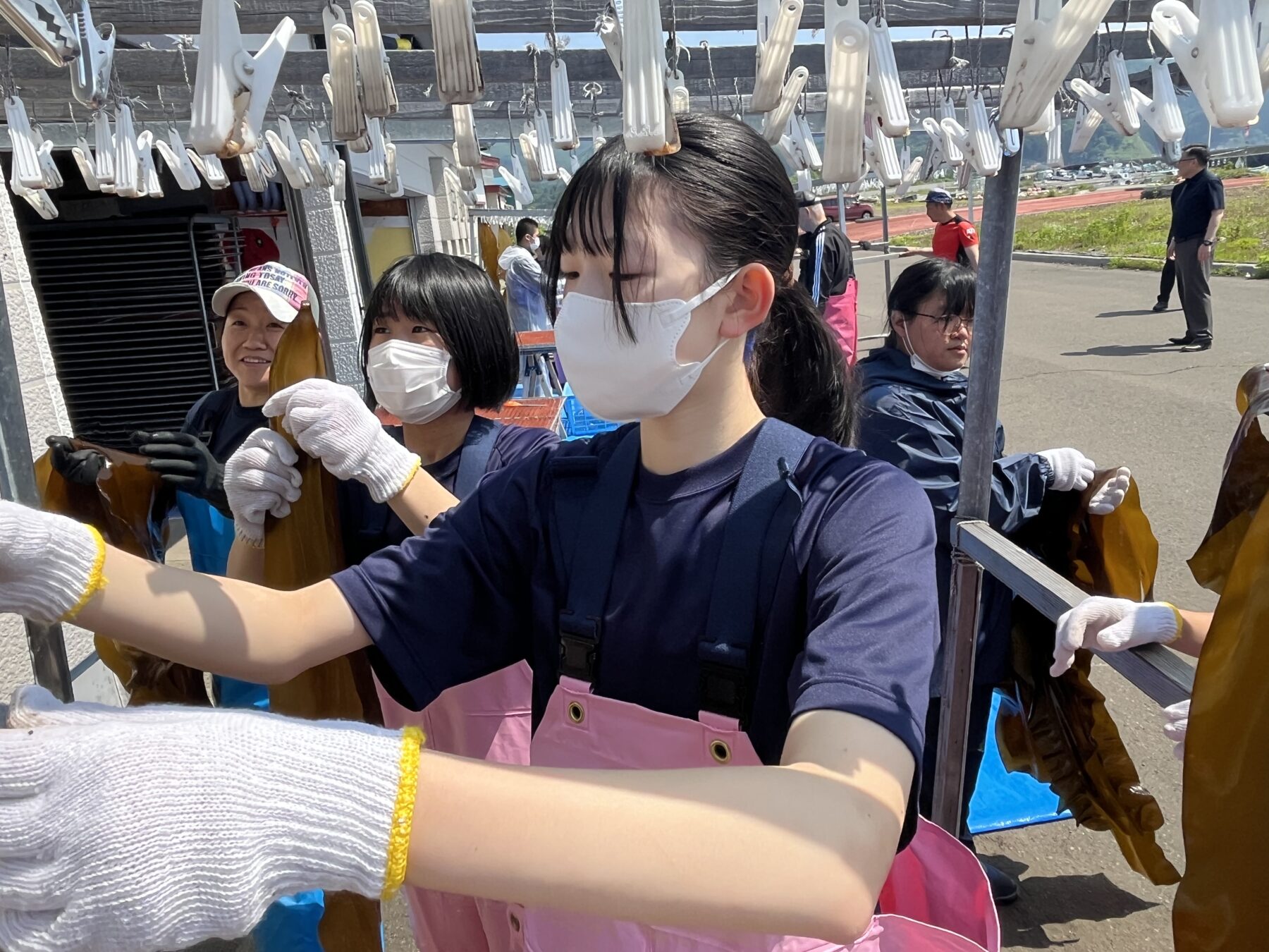 2年生総合　コンブ漁体験 9枚目写真
