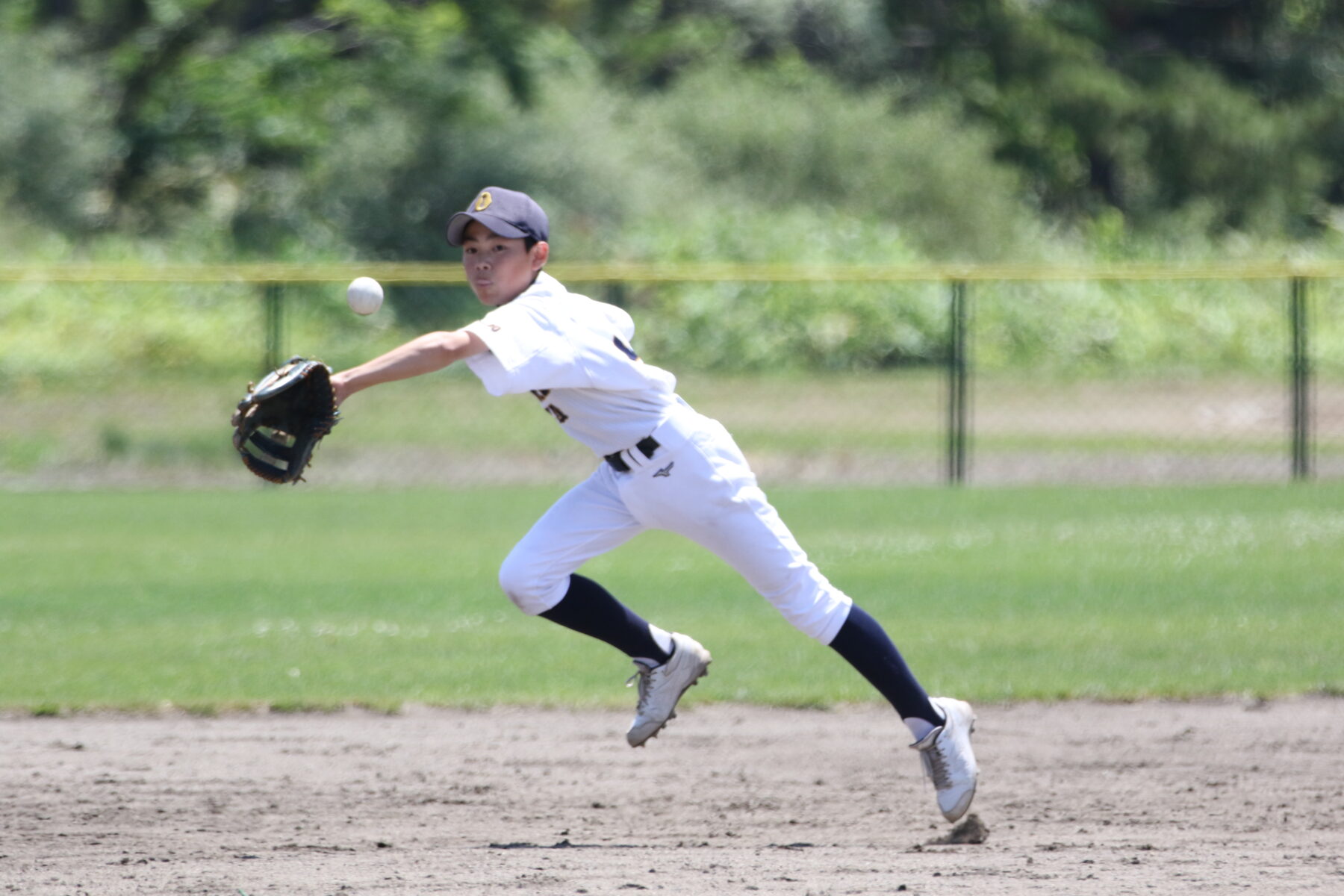 令和7年度　渡島中学校軟式野球大会　試合結果 5枚目写真