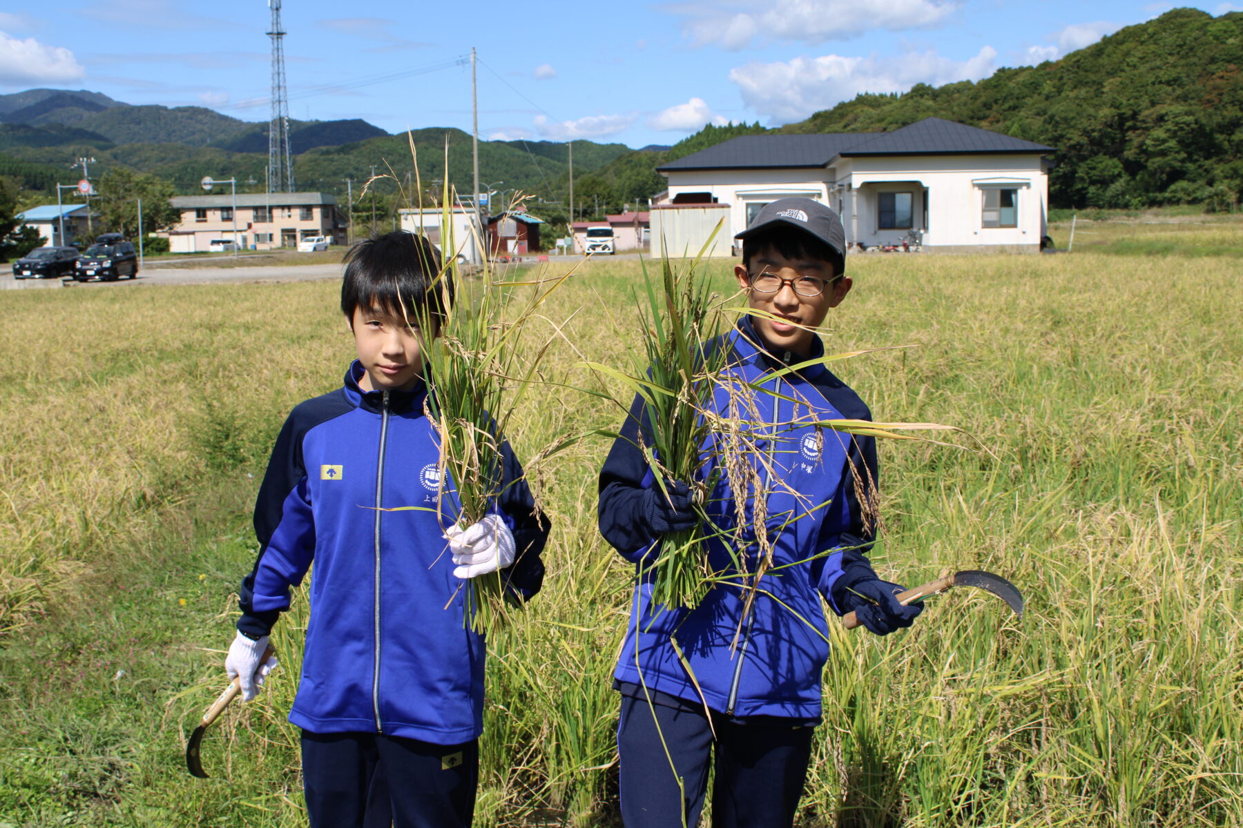 総合的な学習　１，２年生黒米収穫体験 9枚目写真