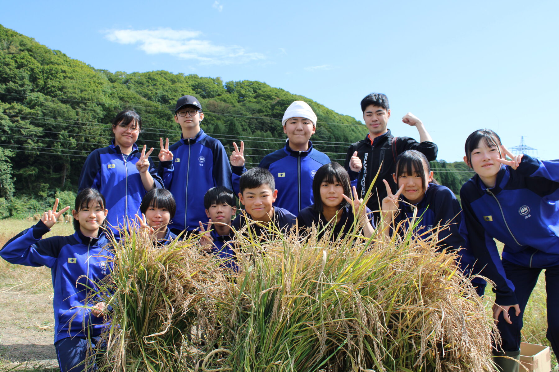 総合的な学習　１，２年生黒米収穫体験 1枚目写真