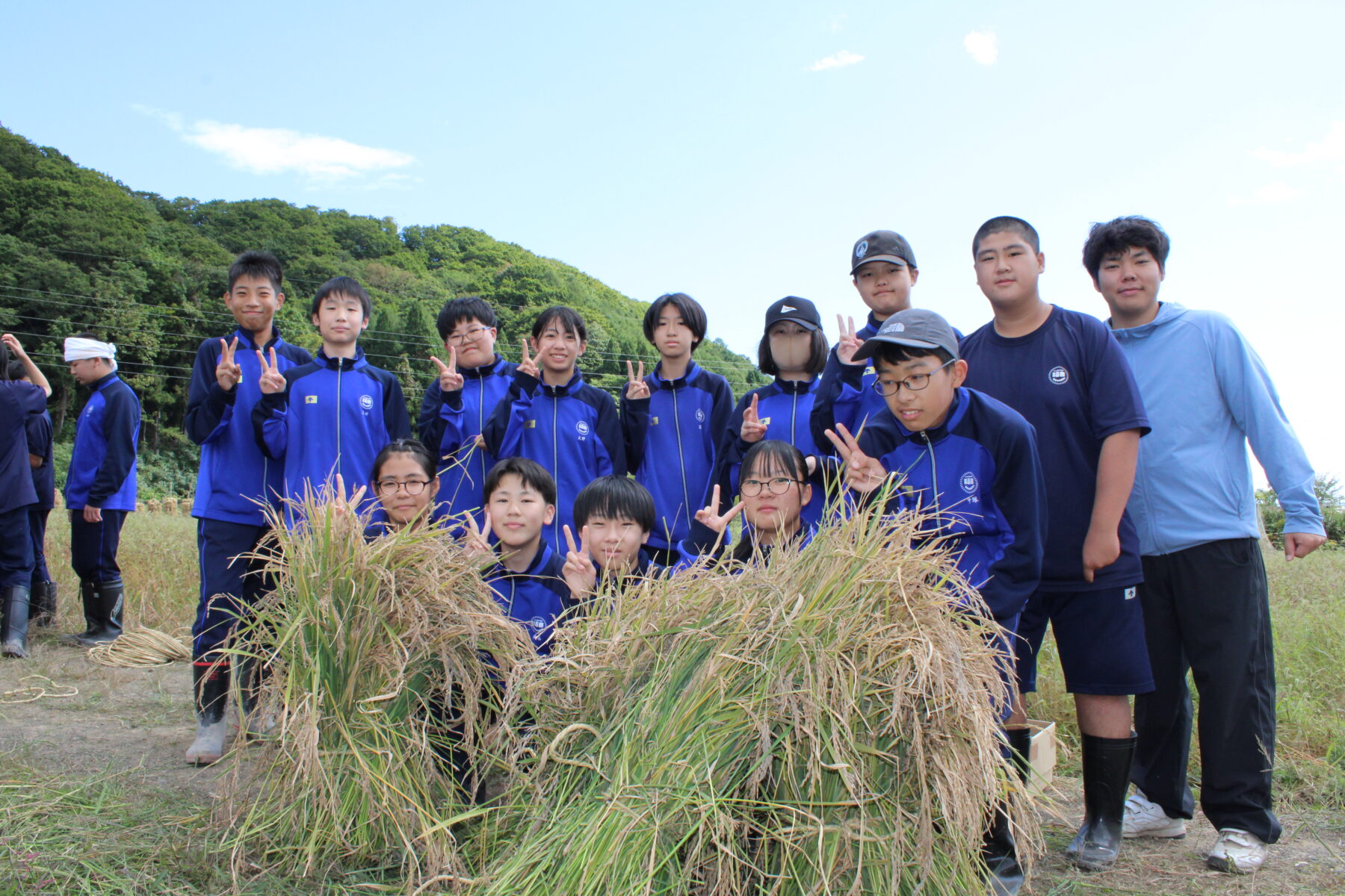 総合的な学習　１，２年生黒米収穫体験 2枚目写真