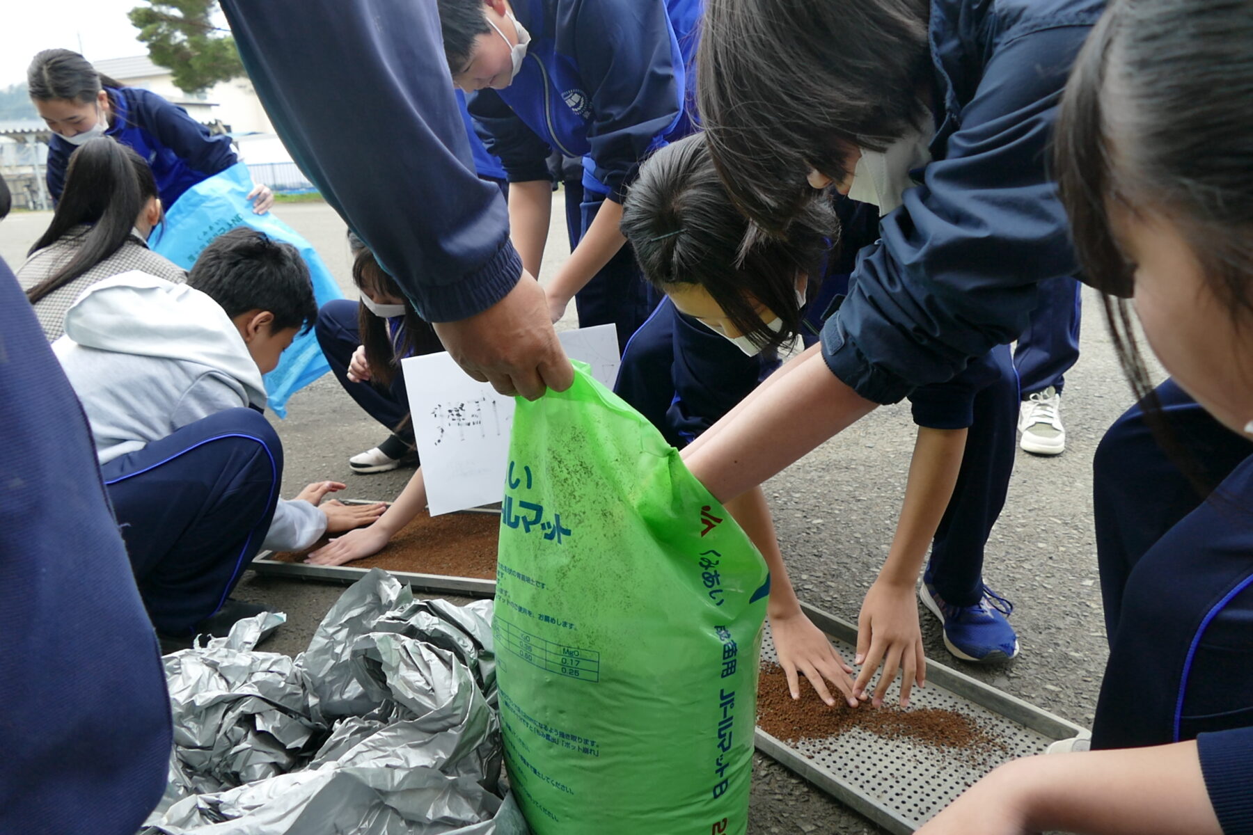 4月27日1年総合　黒米播種作業 3枚目写真