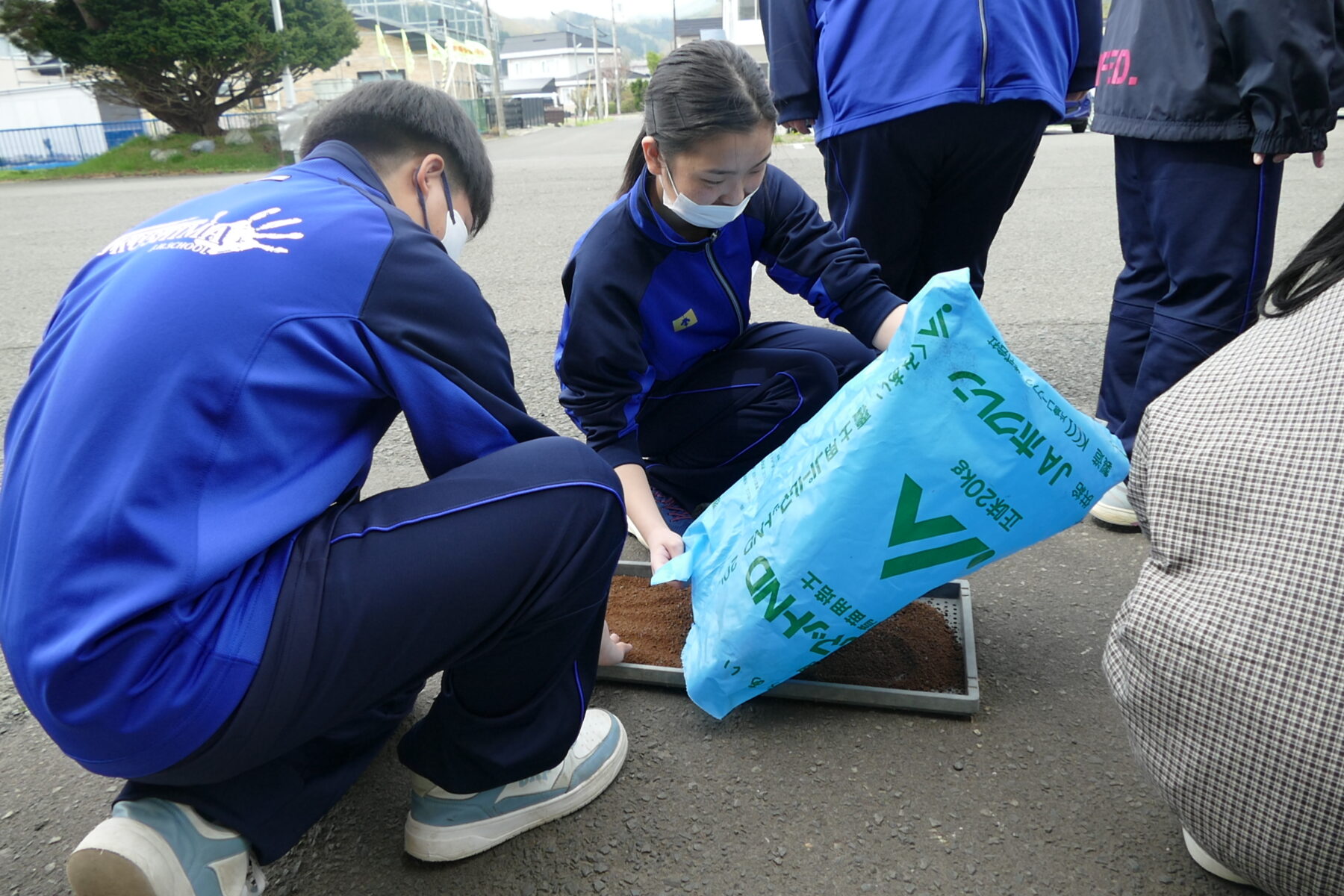 4月27日1年総合　黒米播種作業 4枚目写真