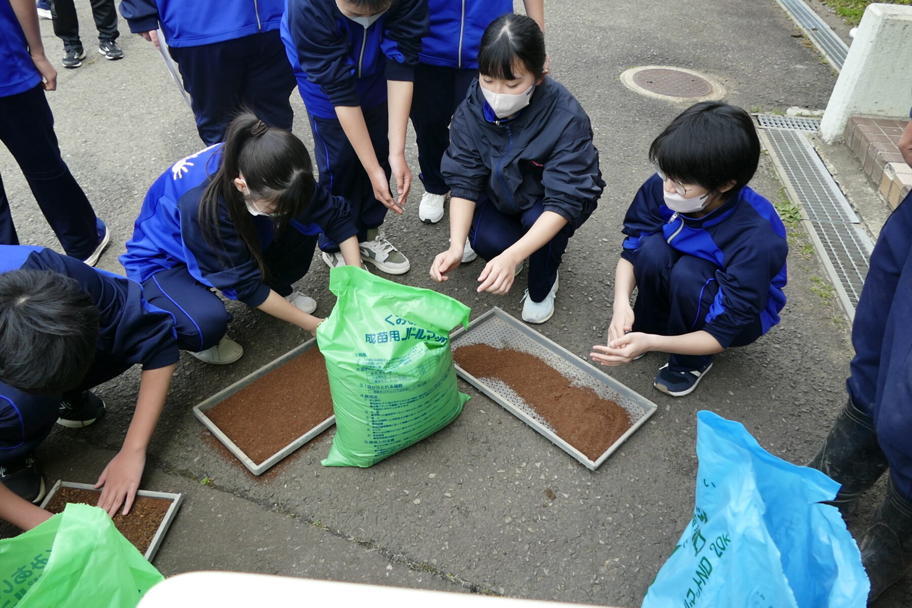4月27日1年総合　黒米播種作業 5枚目写真
