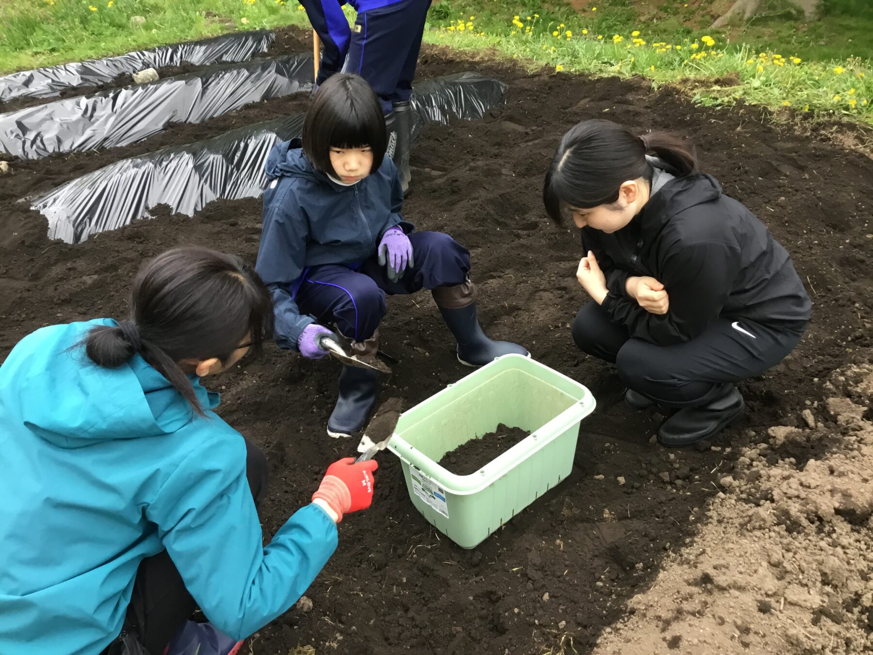 ５月８日生活単元学習 3枚目写真