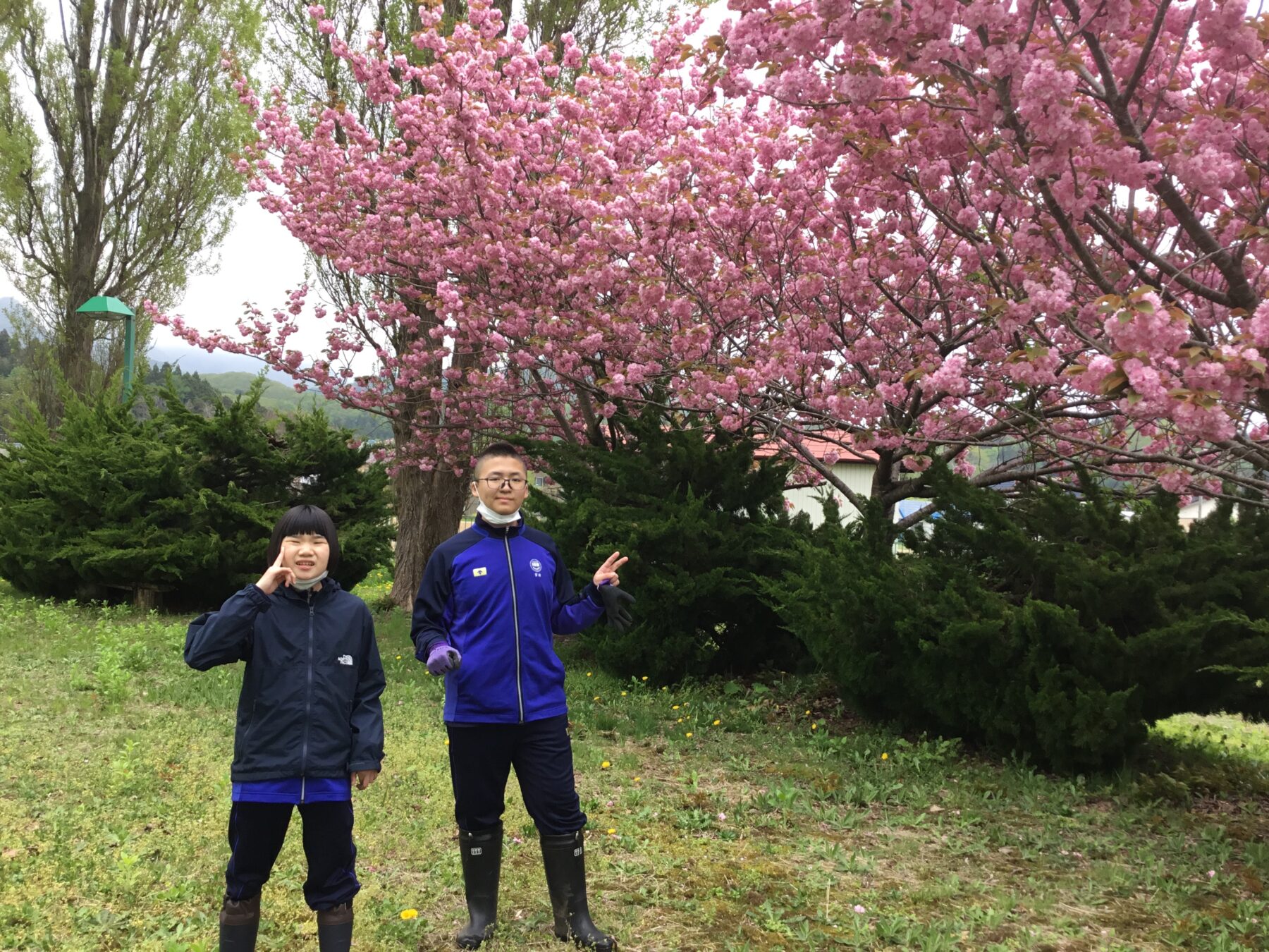 ５月８日生活単元学習 4枚目写真