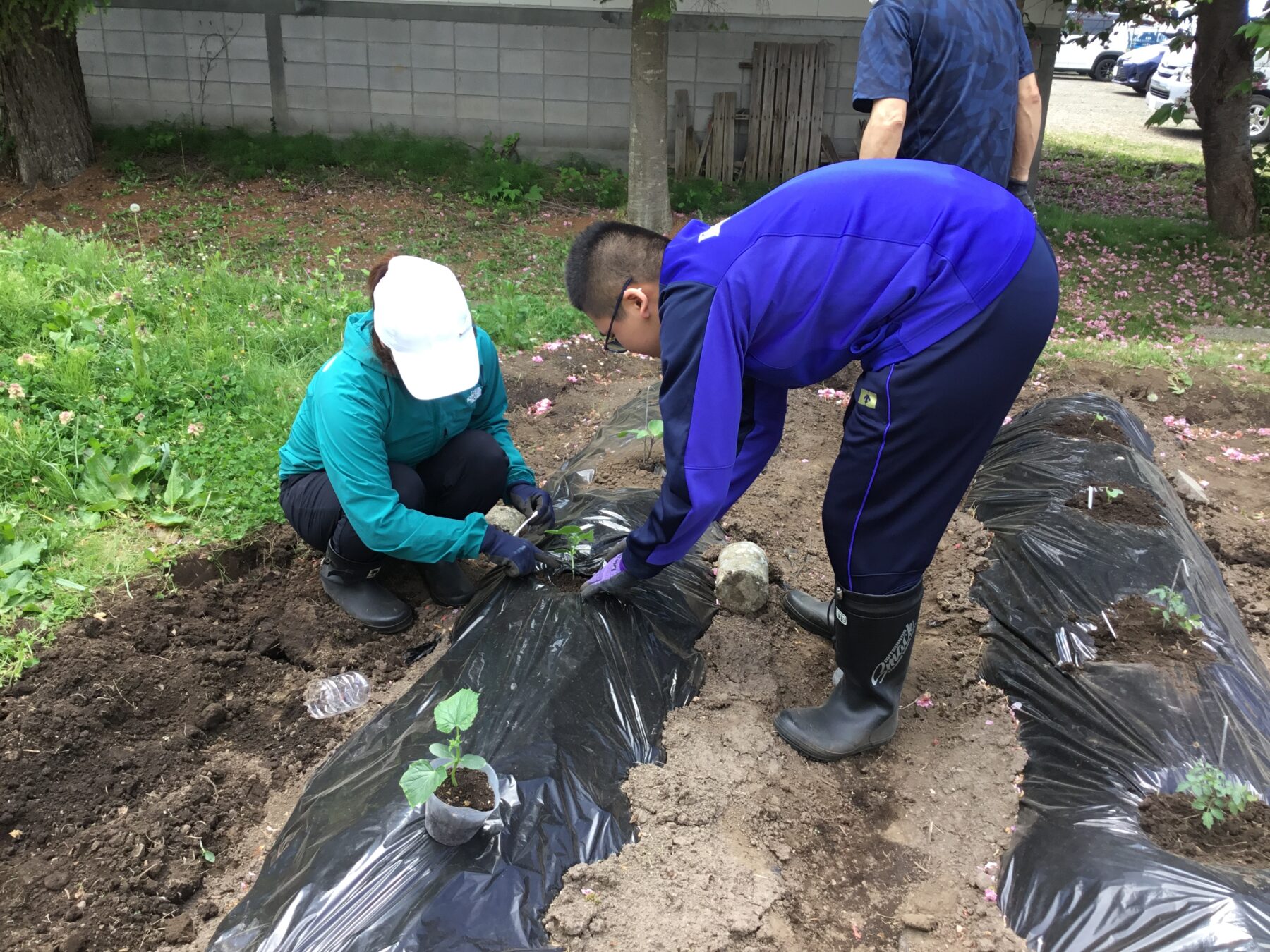 ５月１９日生活単元学習 4枚目写真