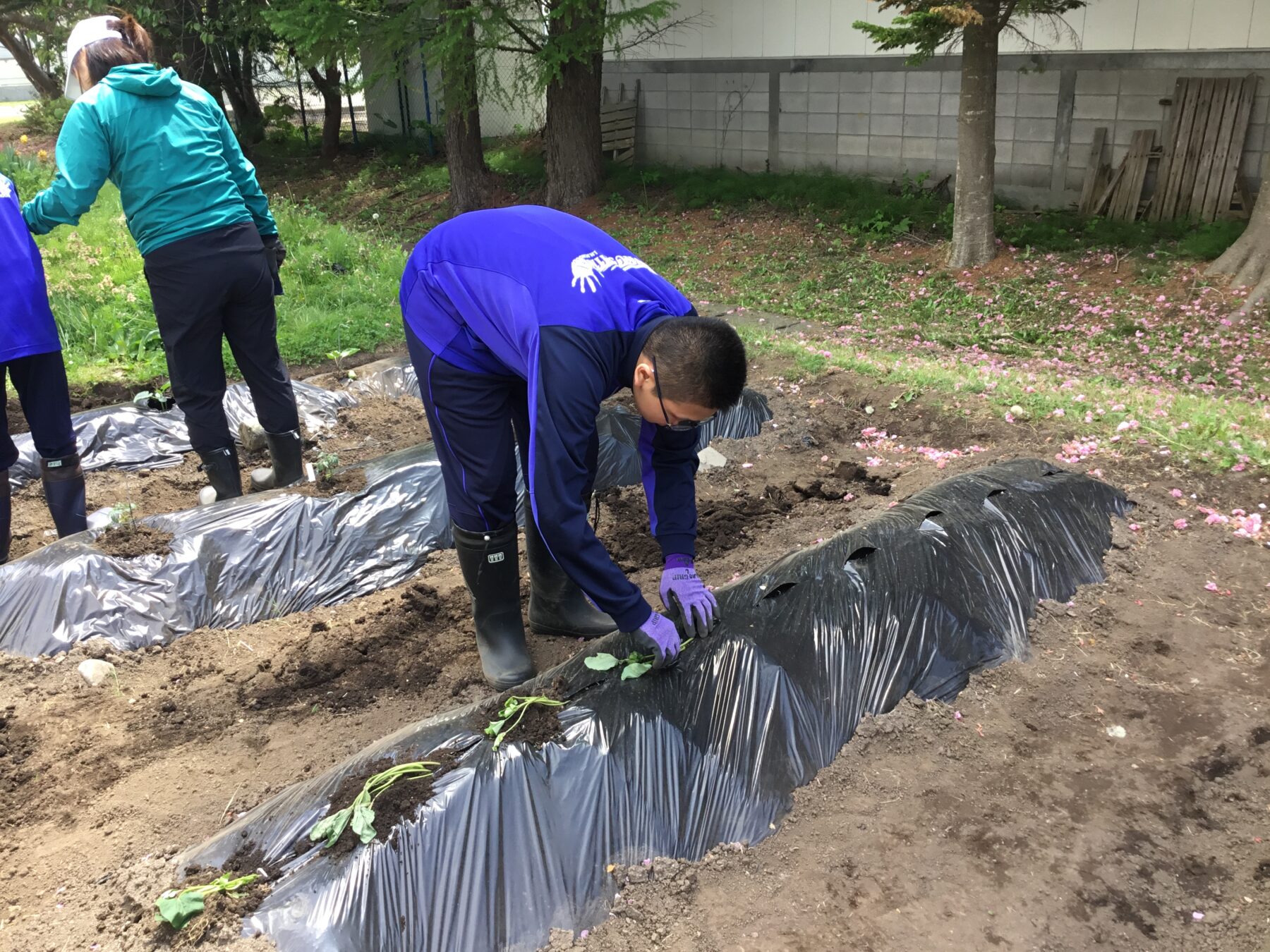 ５月１９日生活単元学習 6枚目写真