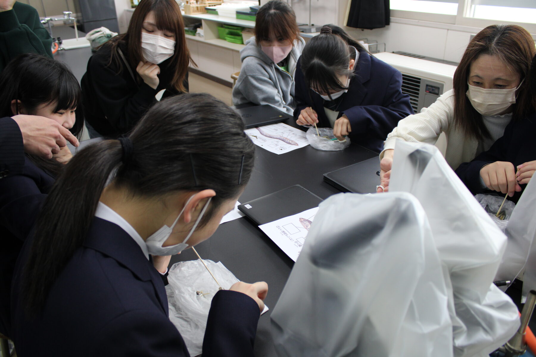 ５月８日授業参観① 8枚目写真