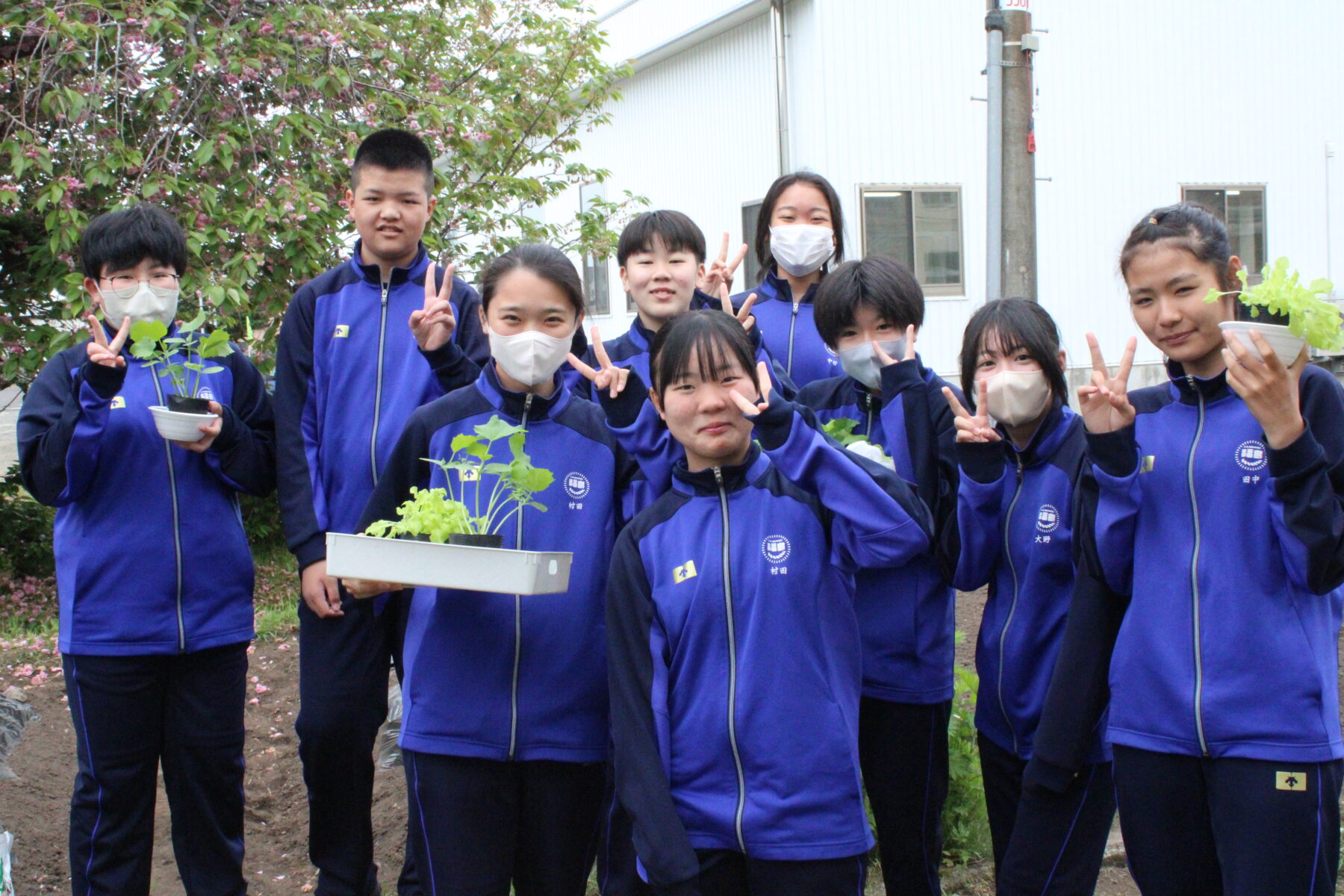 ５月２１日２年技術（栽培） 2枚目写真