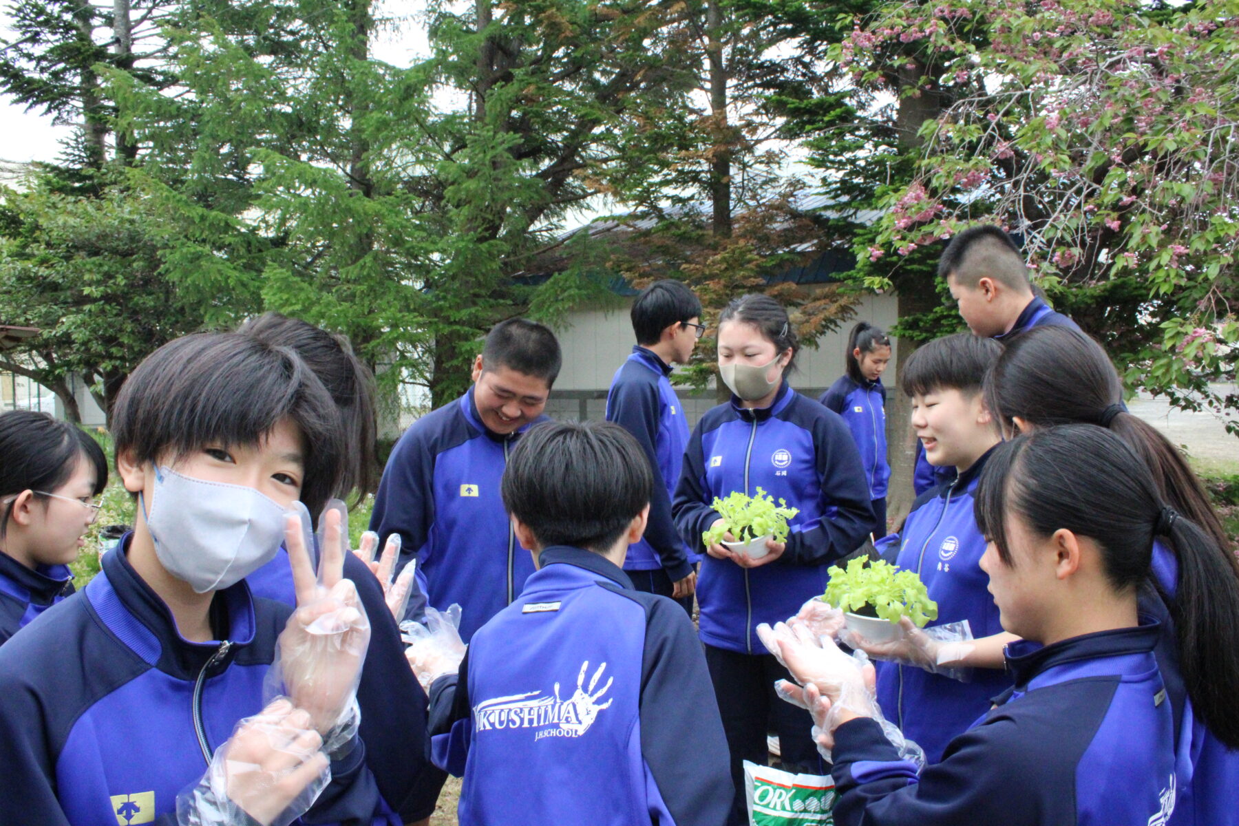５月２１日２年技術（栽培） 6枚目写真