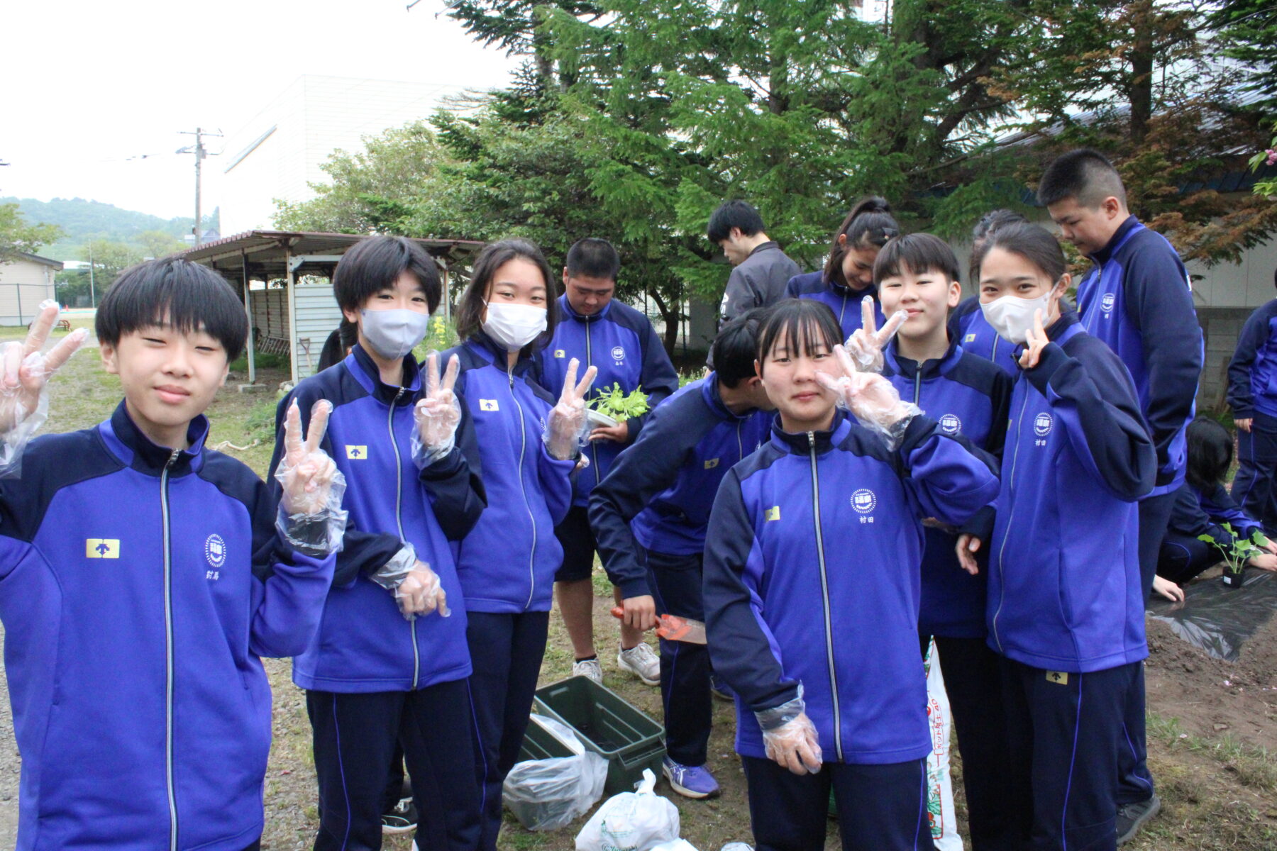 ５月２１日２年技術（栽培） 7枚目写真