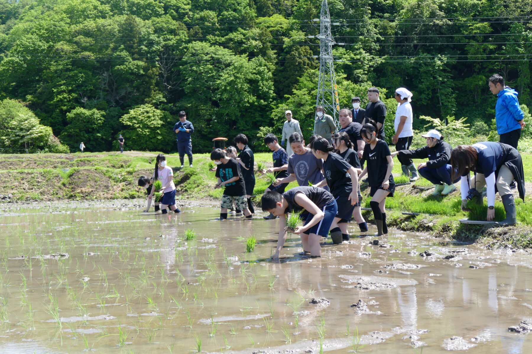 ５月２５日１年総合　黒米田植え体験 4枚目写真
