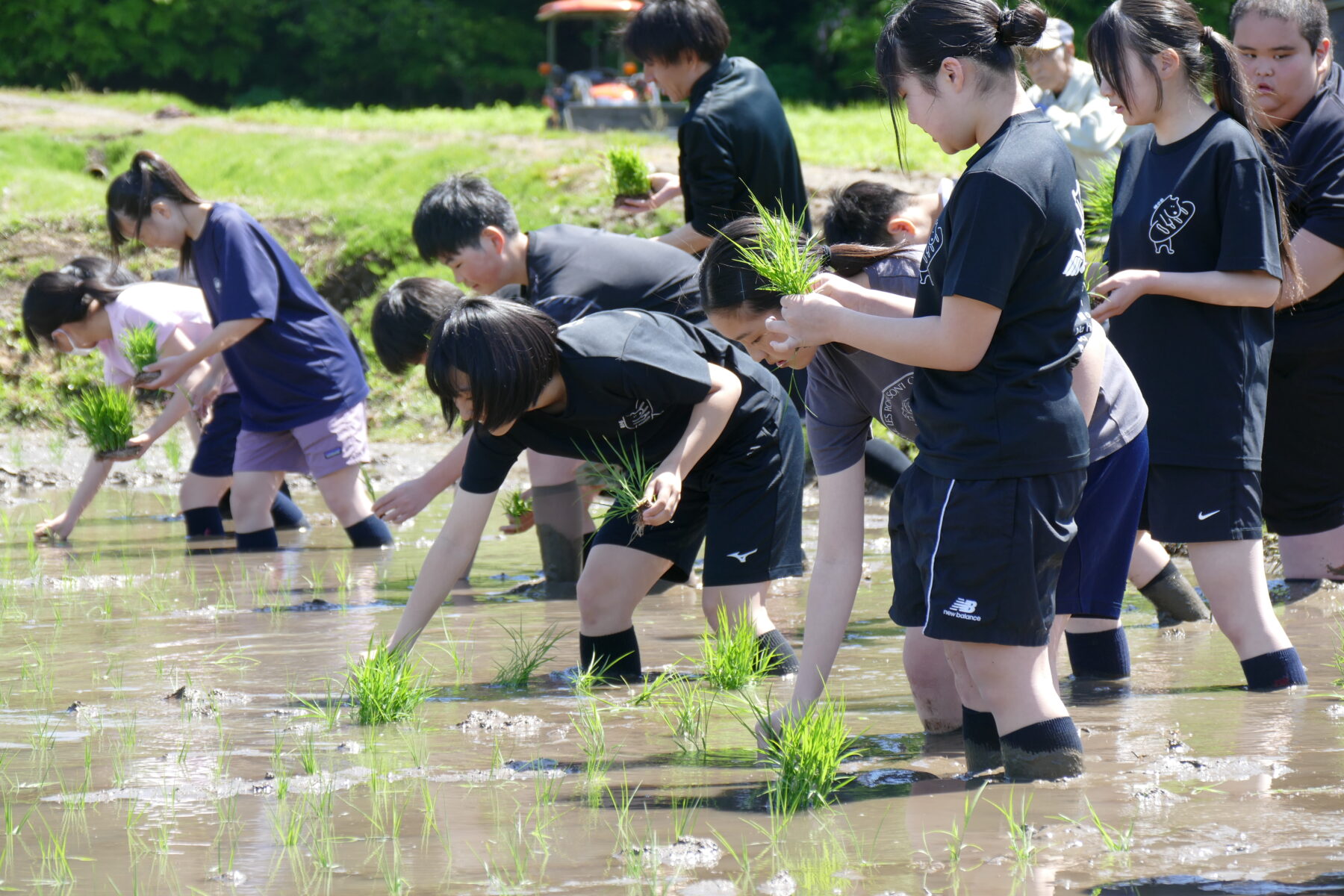 ５月２５日１年総合　黒米田植え体験 1枚目写真
